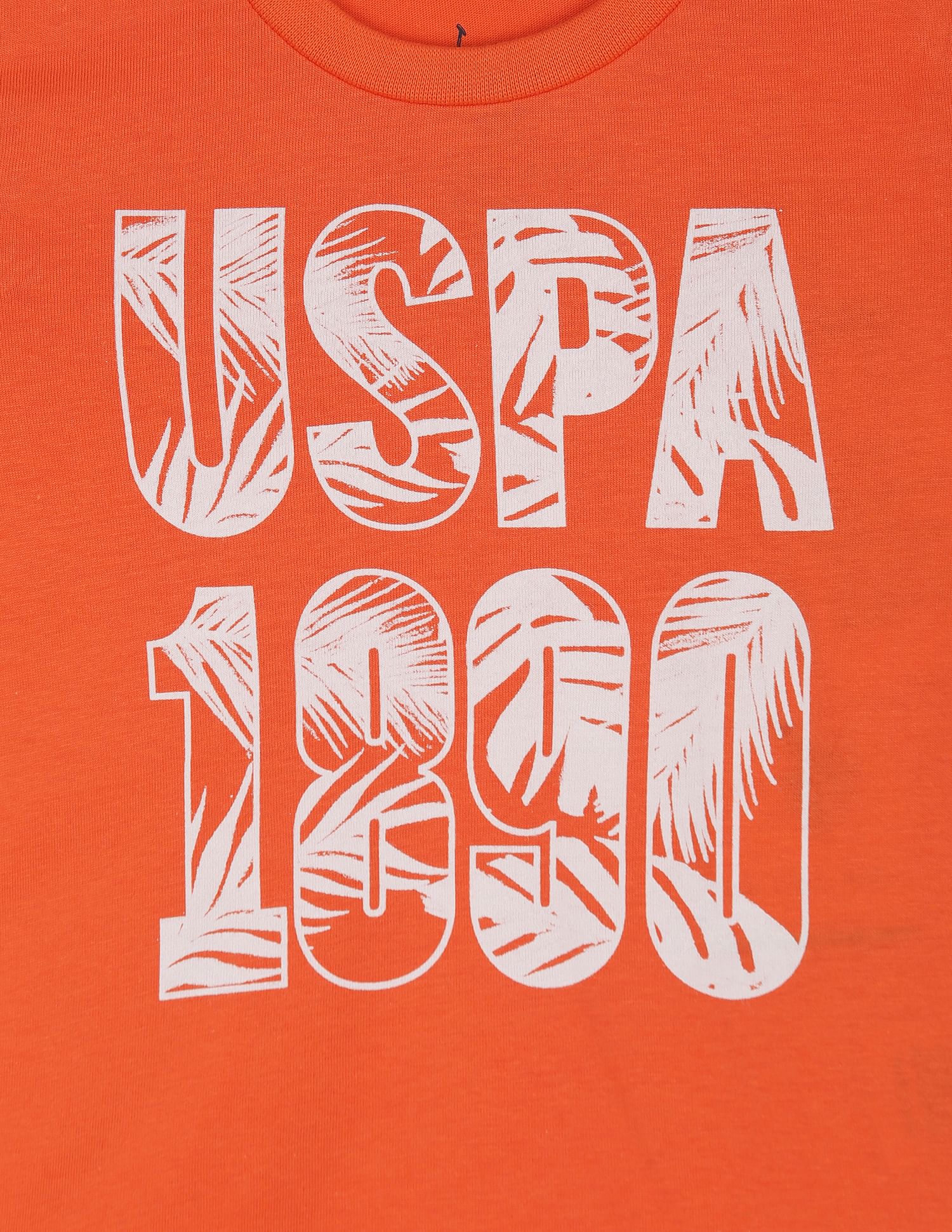 Brand Print Pure Cotton T-Shirt - Image 3