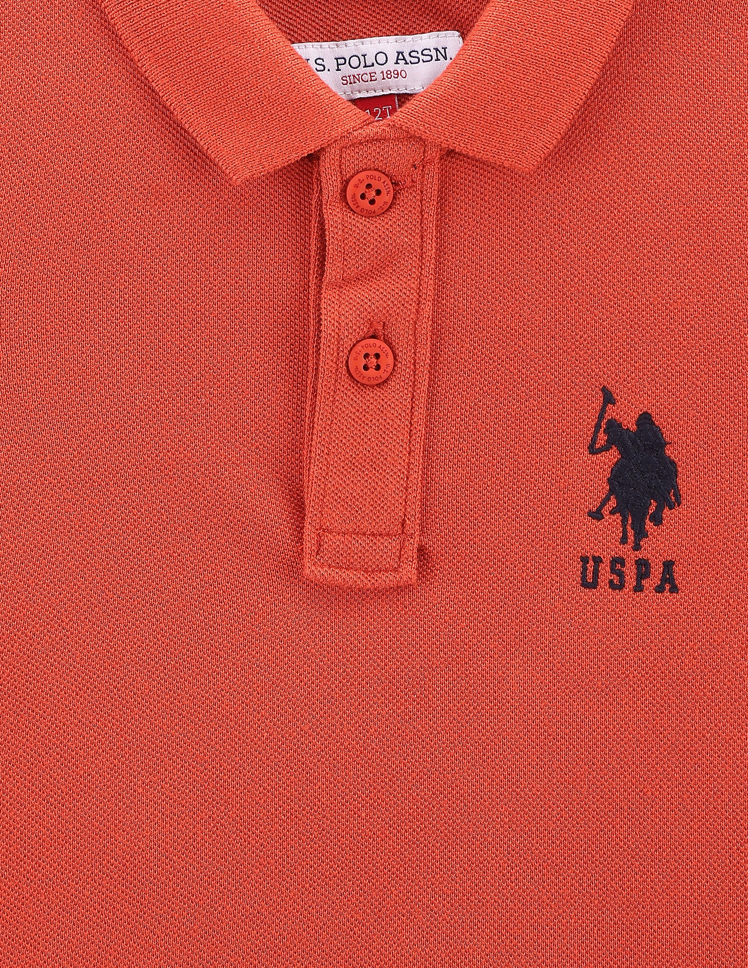 Boys Rear Graphic Cotton Polo Shirt - Image 3
