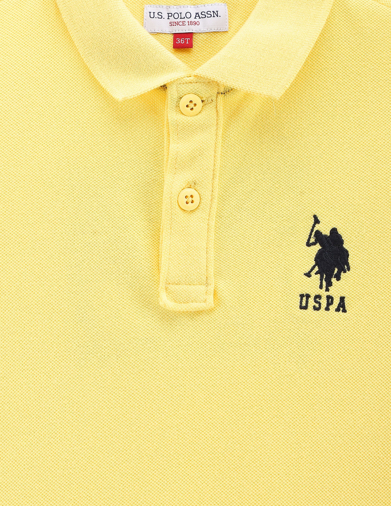 Boys Rear Graphic Cotton Polo Shirt - Image 3