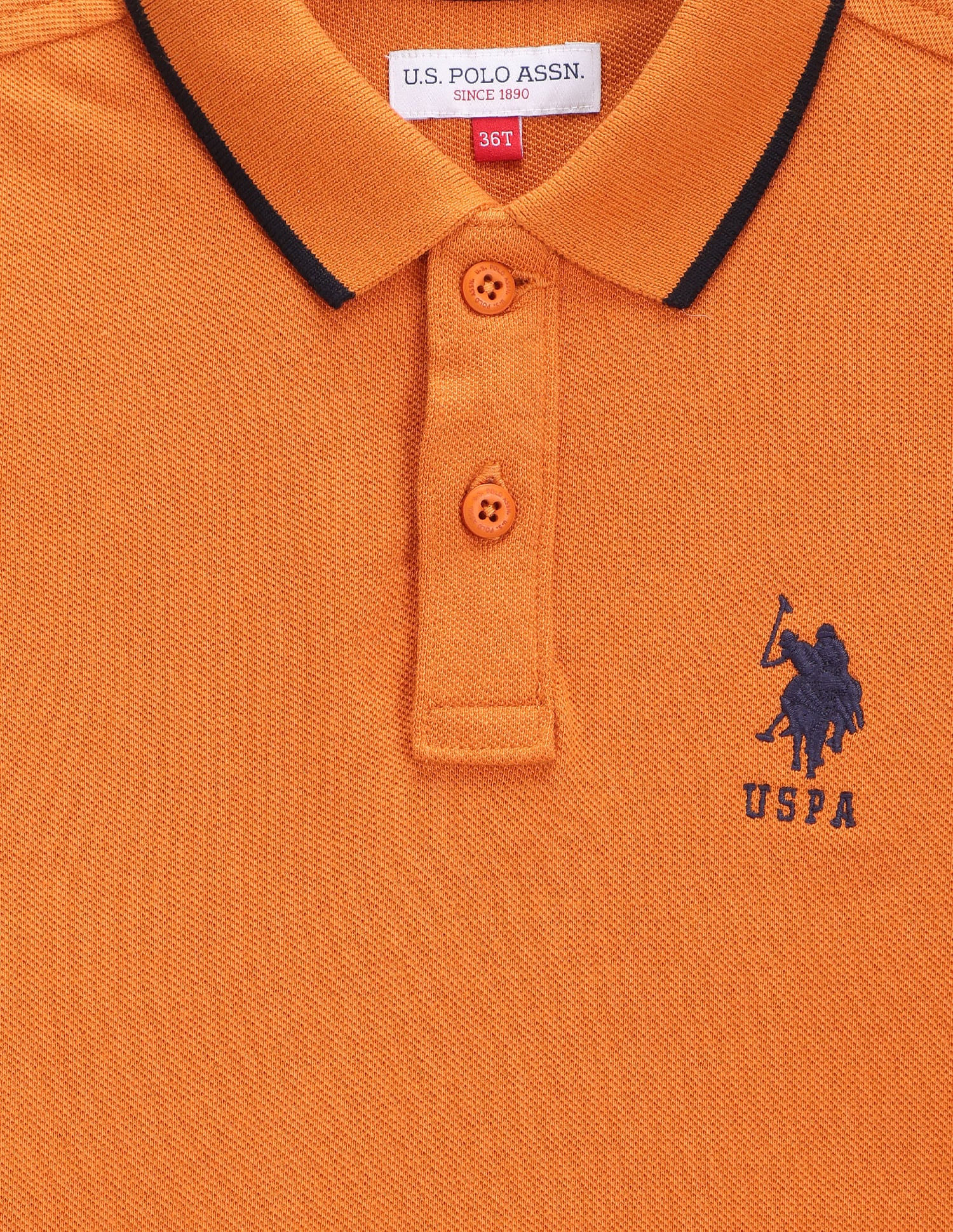 Boys Solid Polo Shirt - Image 3