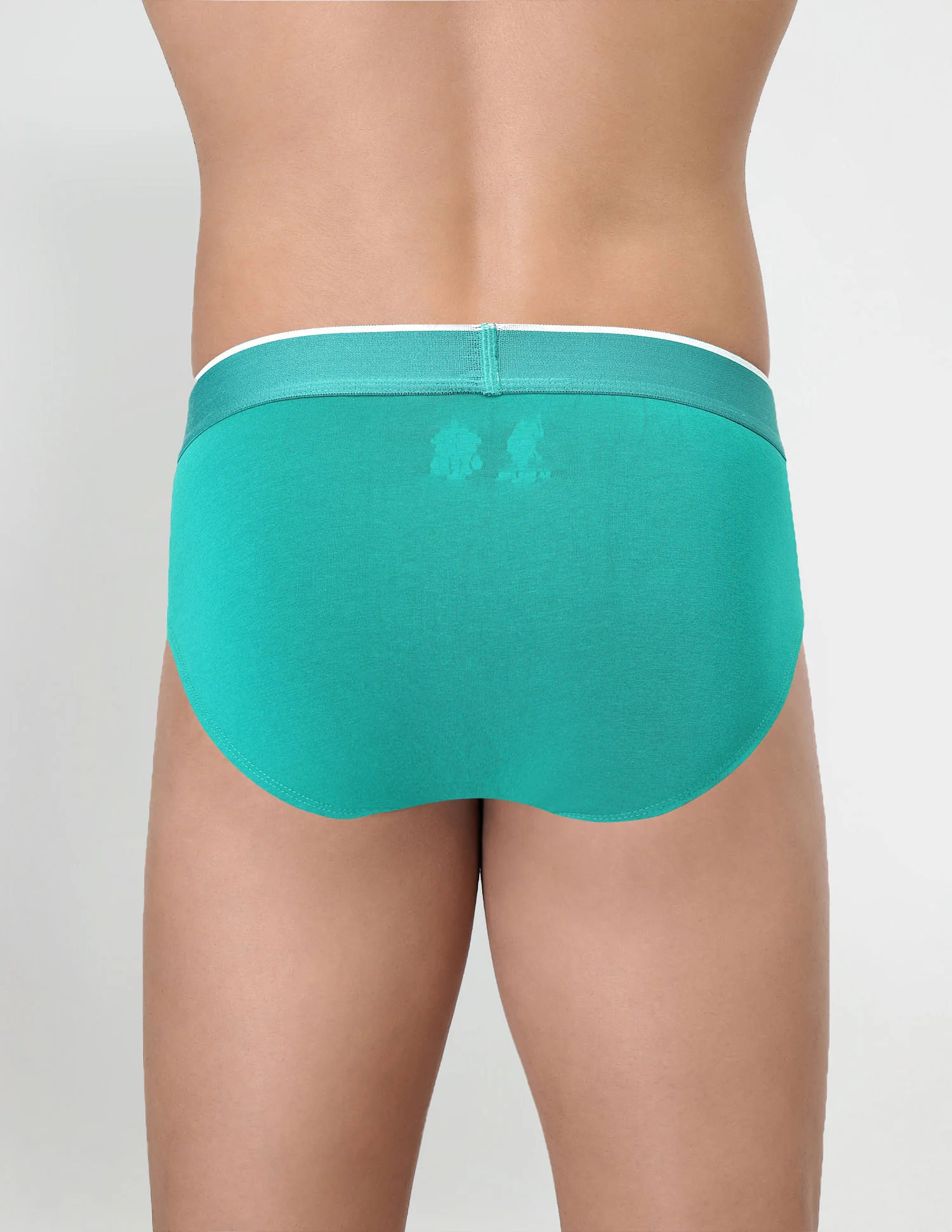Cotton Stretch Antibacterial EB004 Briefs - Pack Of 2 - Image 7