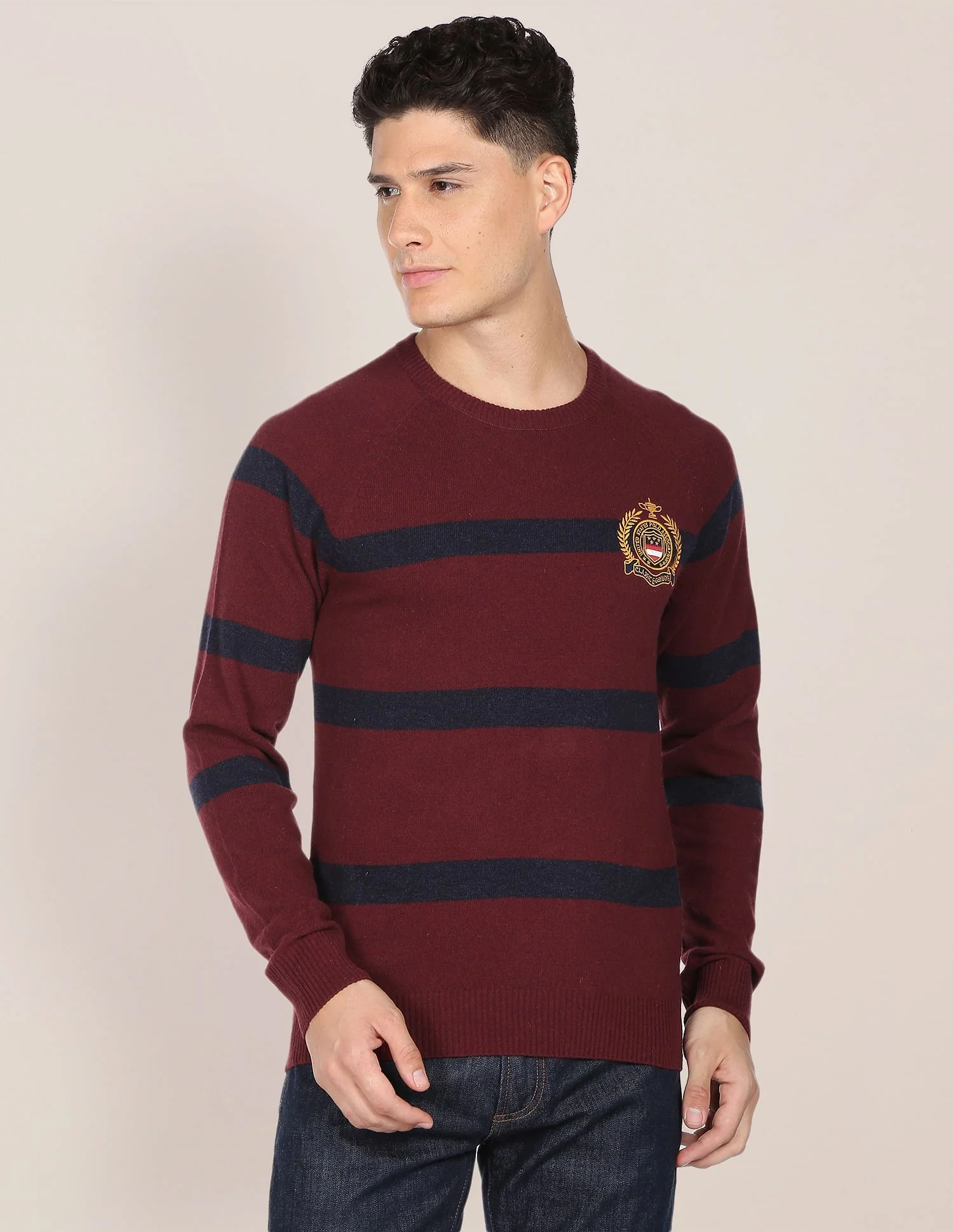 Crew Neck Horizontal Stripe Sweater