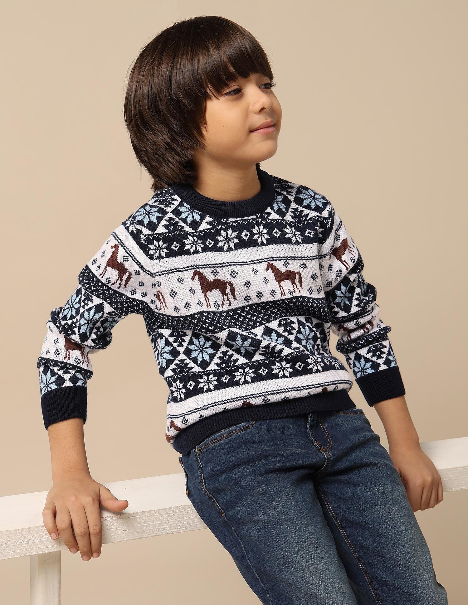 Boys All Over Printed Regular Fit Sweater