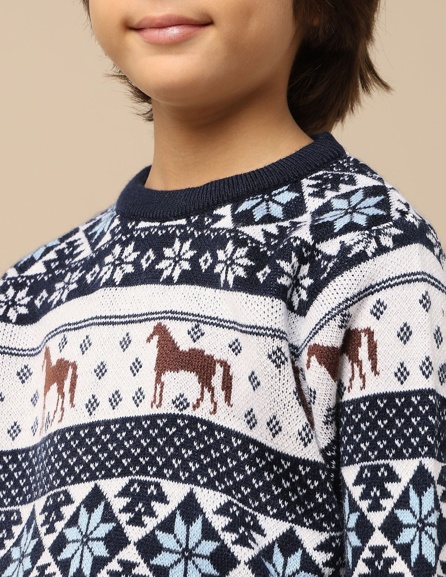 Boys All Over Printed Regular Fit Sweater - Image 6