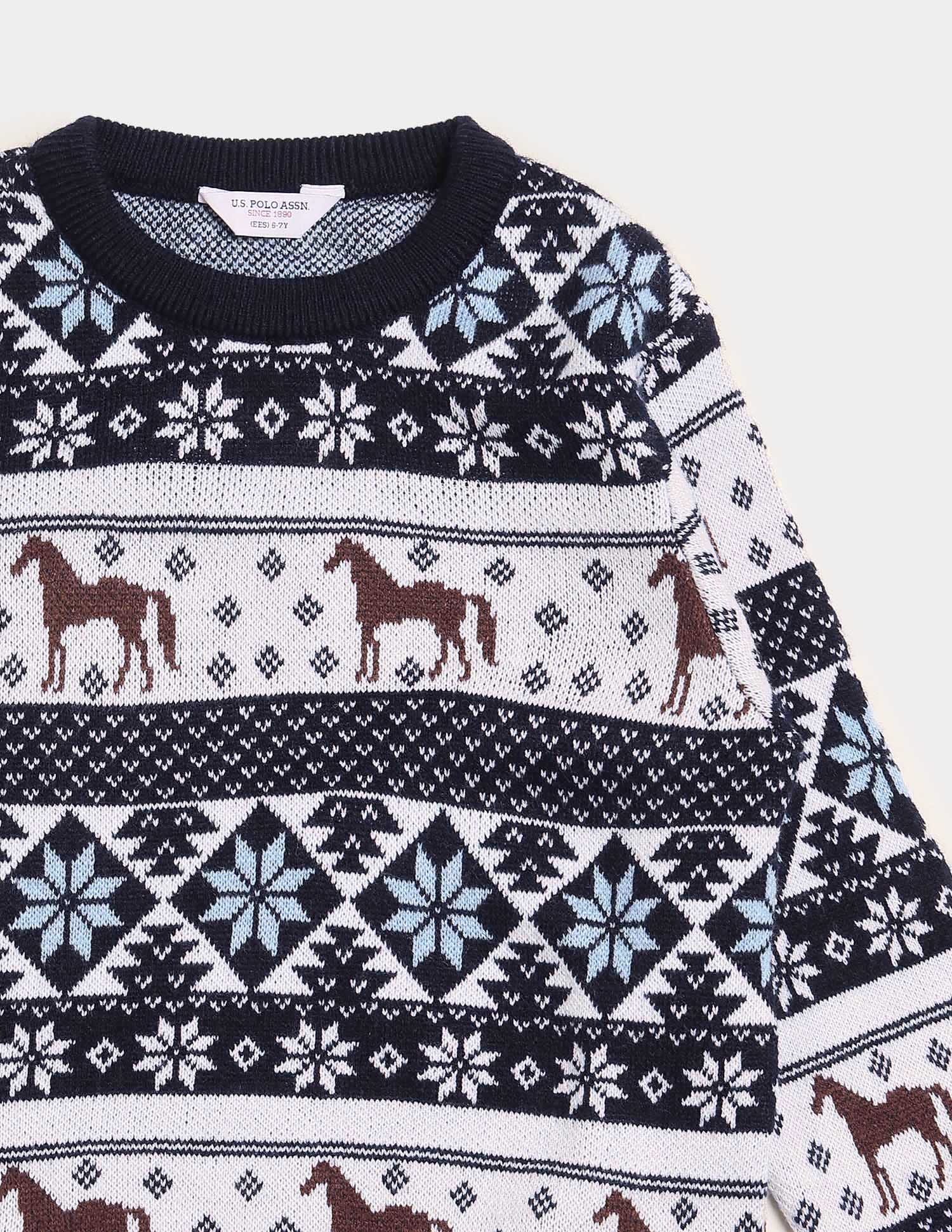 Boys All Over Printed Regular Fit Sweater - Image 9