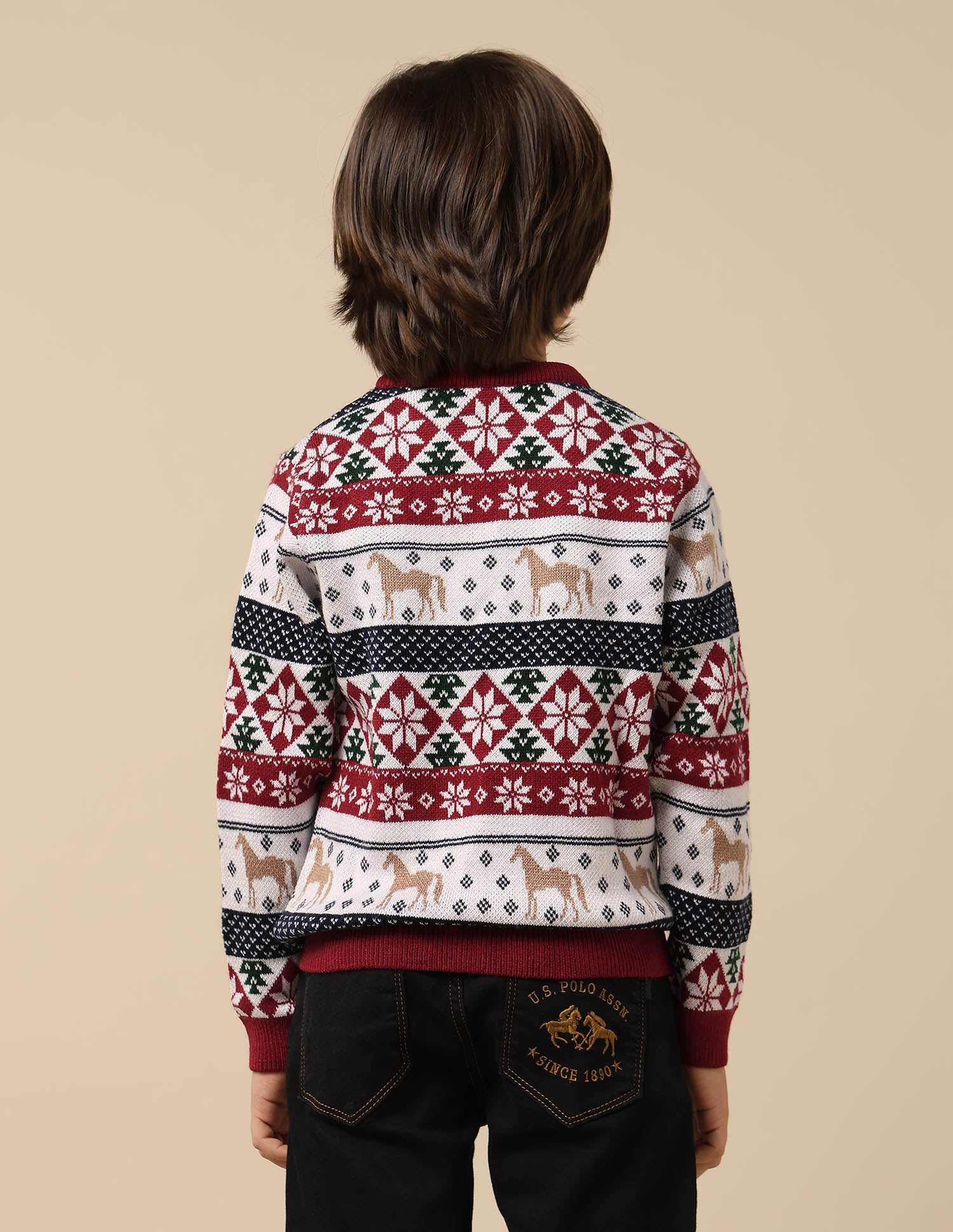 Boys All Over Printed Regular Fit Sweater - Image 5