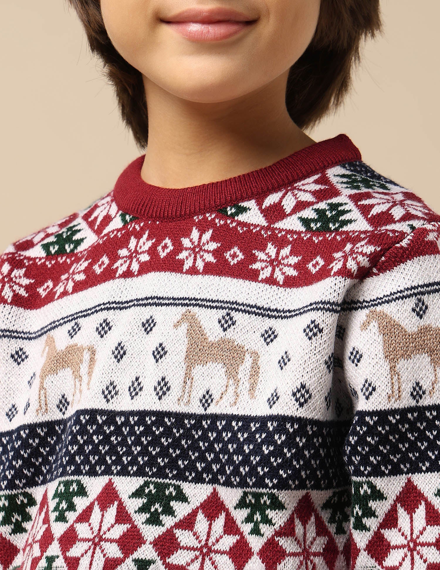 Boys All Over Printed Regular Fit Sweater - Image 6