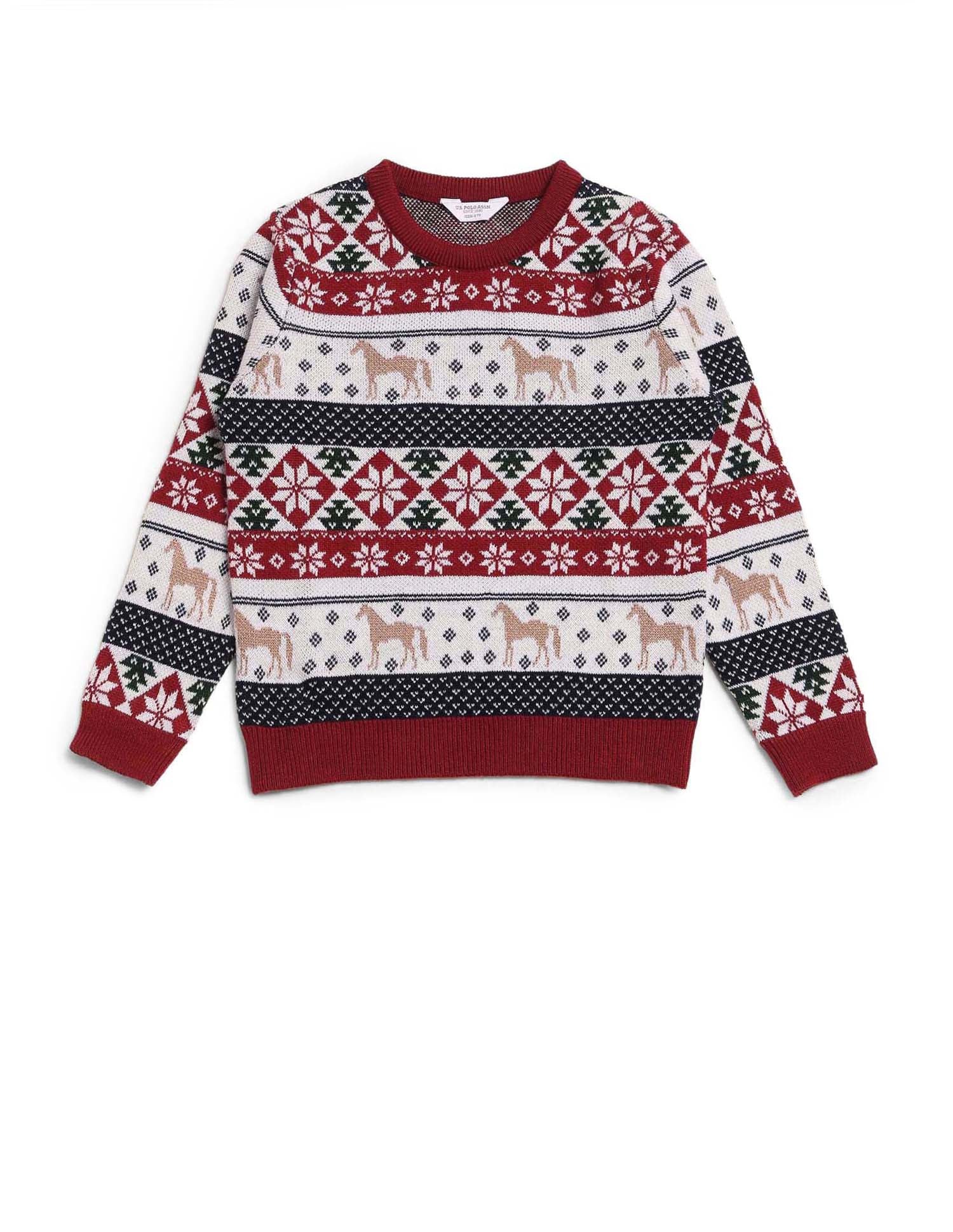 Boys All Over Printed Regular Fit Sweater - Image 7