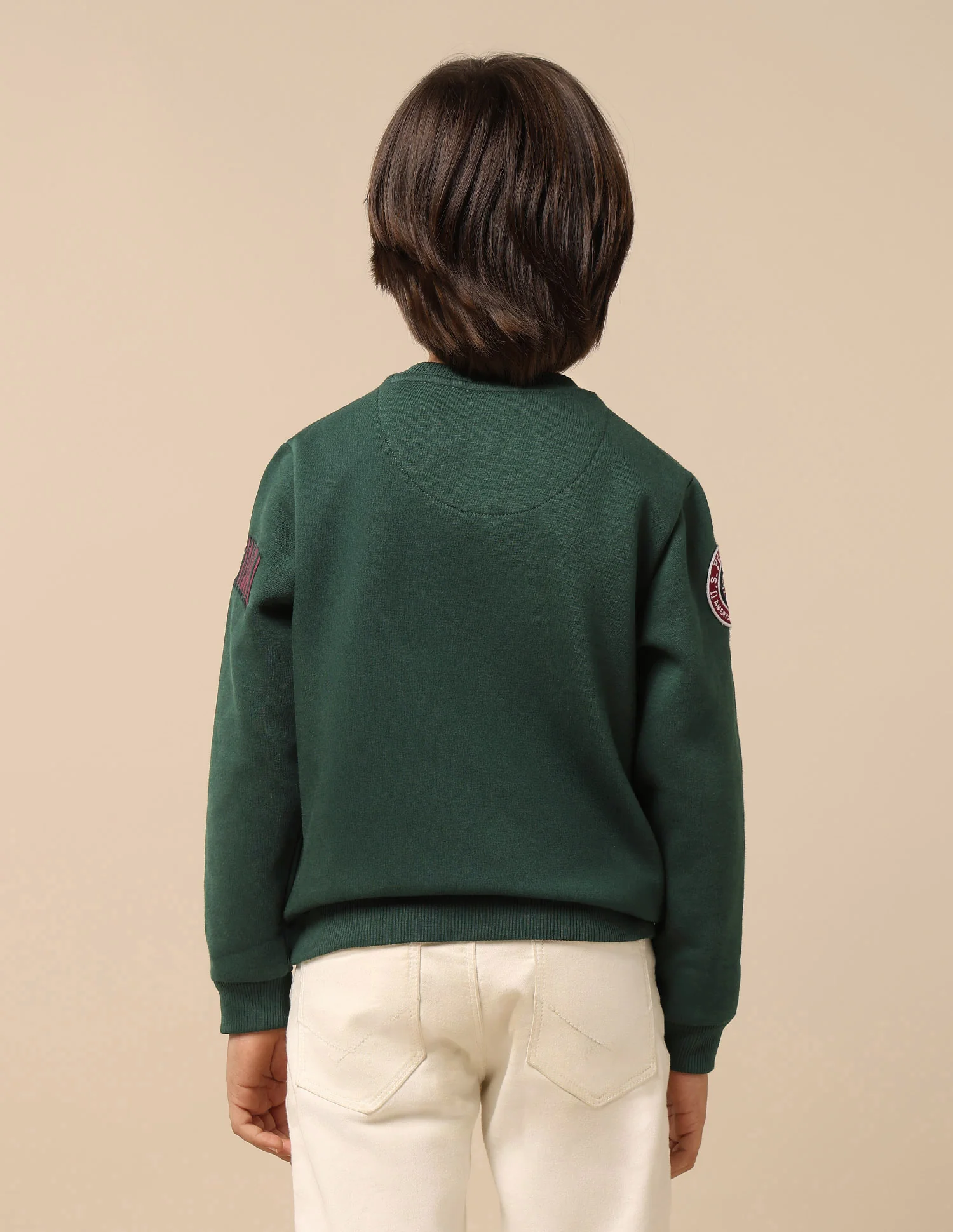 Boys Appliqued Regular Fit Sweatshirt - Image 5