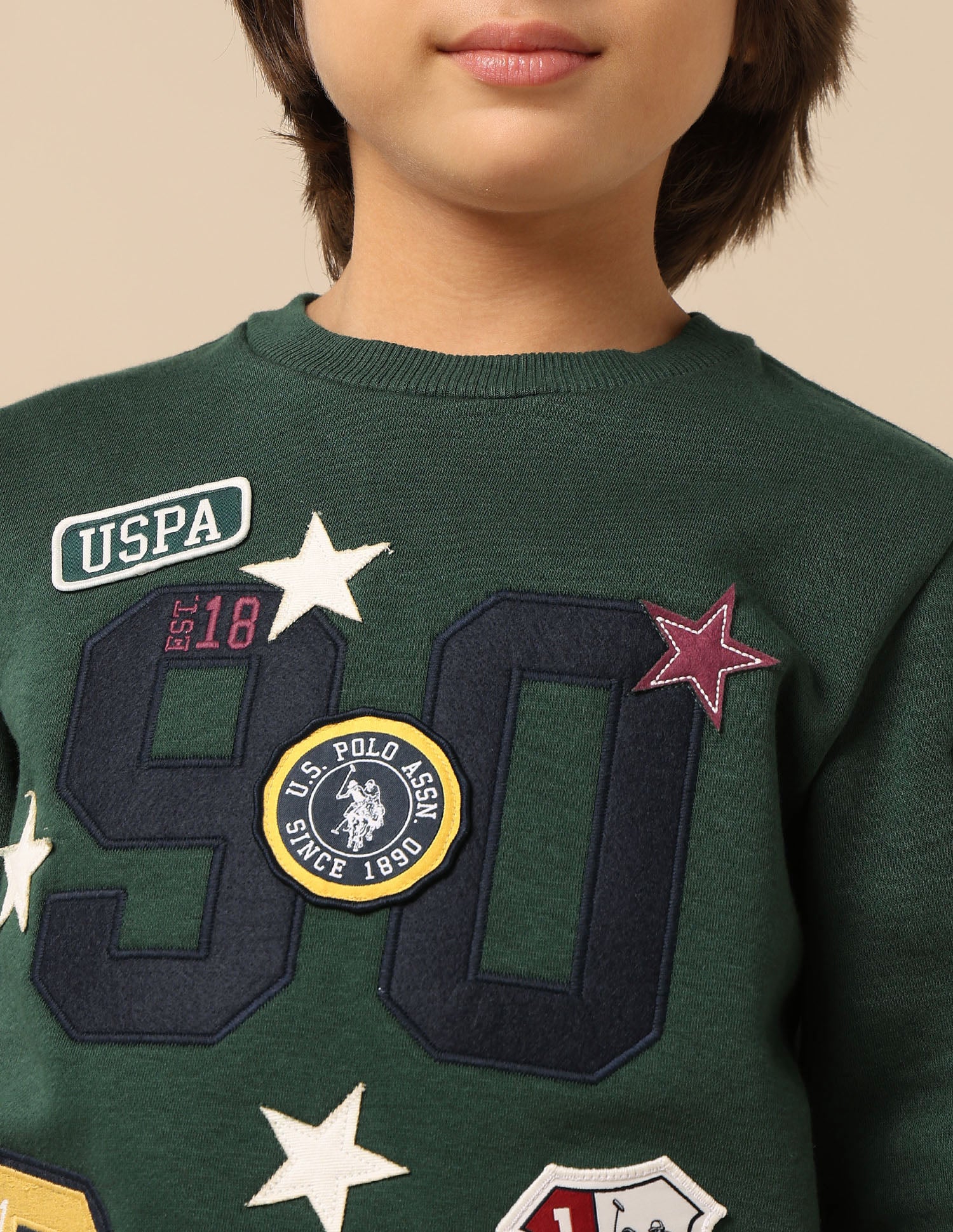 Boys Appliqued Regular Fit Sweatshirt - Image 6