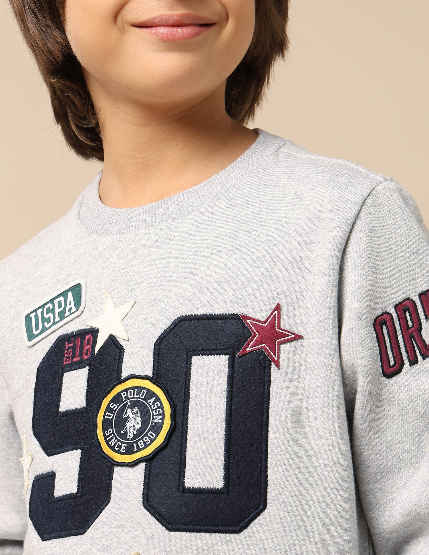Boys Appliqued Regular Fit Sweatshirt - Image 6