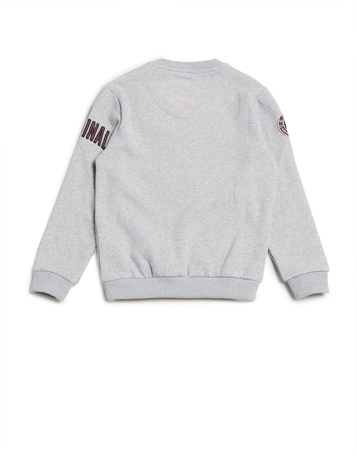 Boys Appliqued Regular Fit Sweatshirt - Image 8