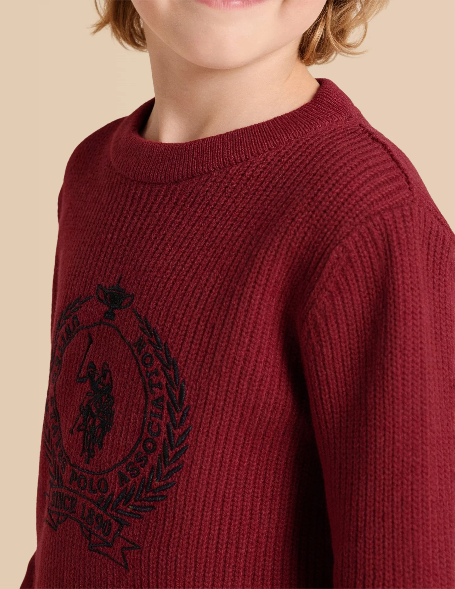 Boys Brand Embroidered Regular Fit Sweater - Image 6