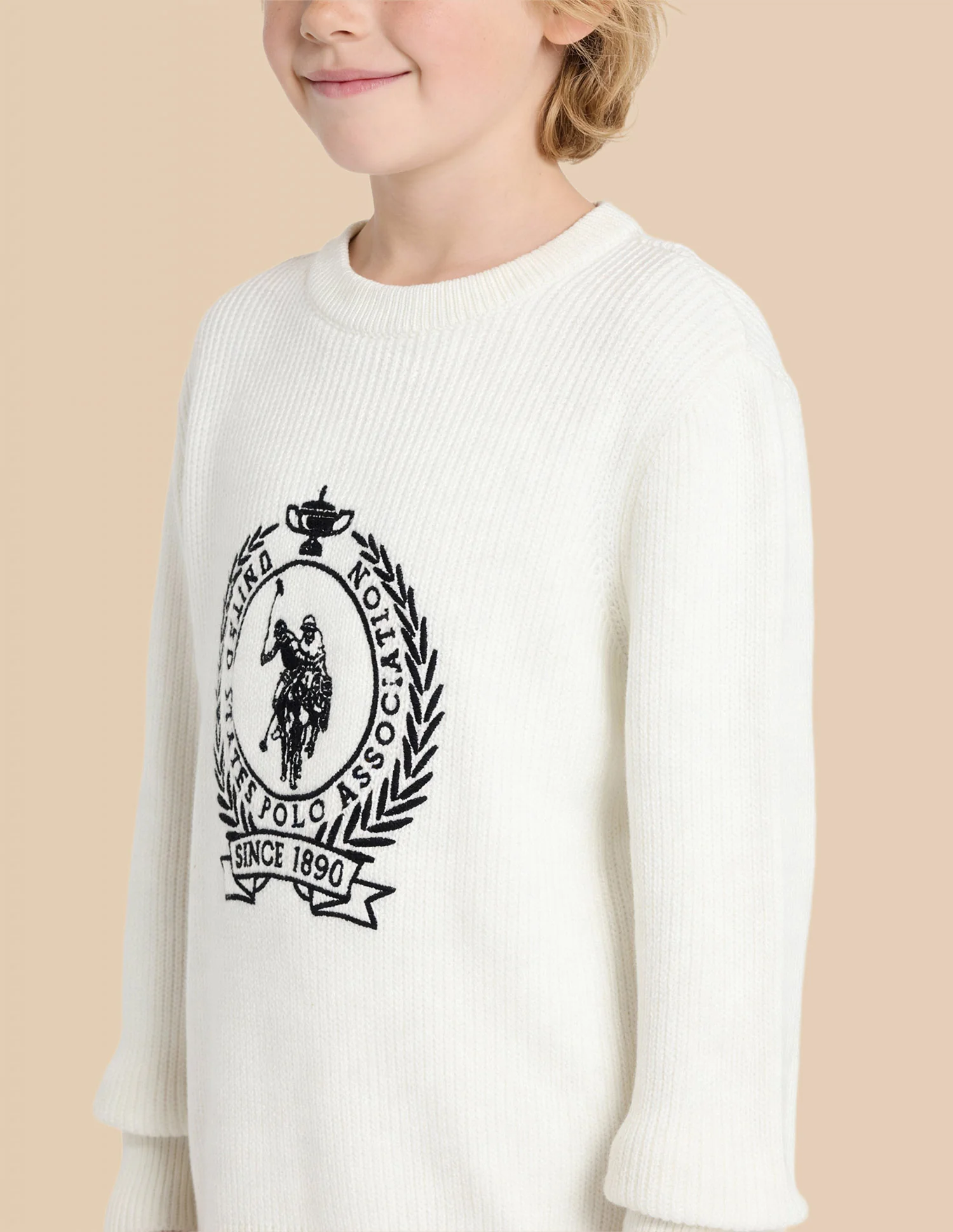 Boys Brand Embroidered Regular Fit Sweater - Image 5