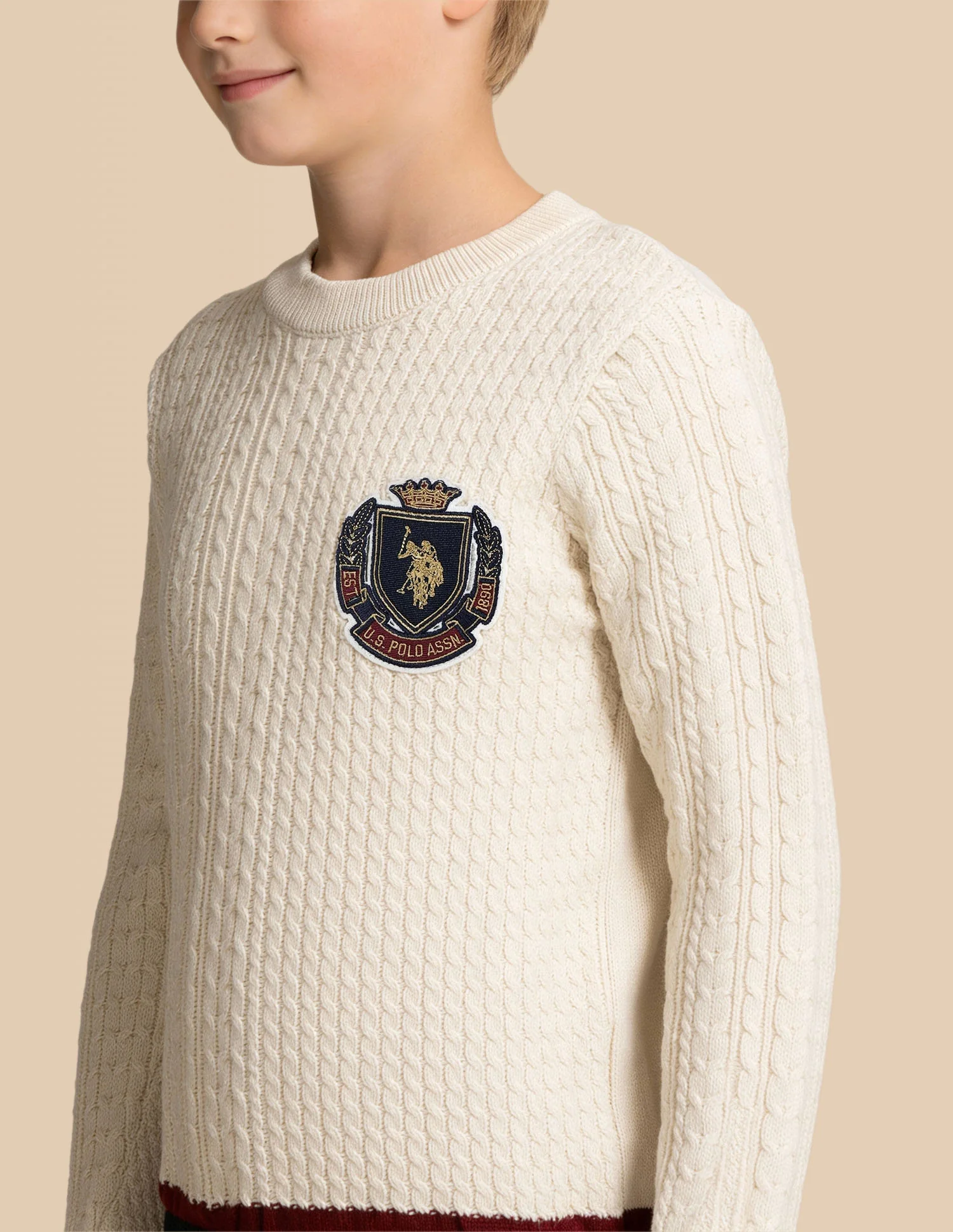 Boys Cable Knit Regular Fit Sweater - Image 6
