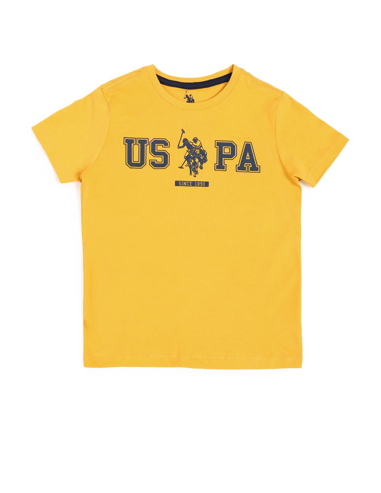 Boys Crew Neck Brand Printed T-Shirt - Image 5