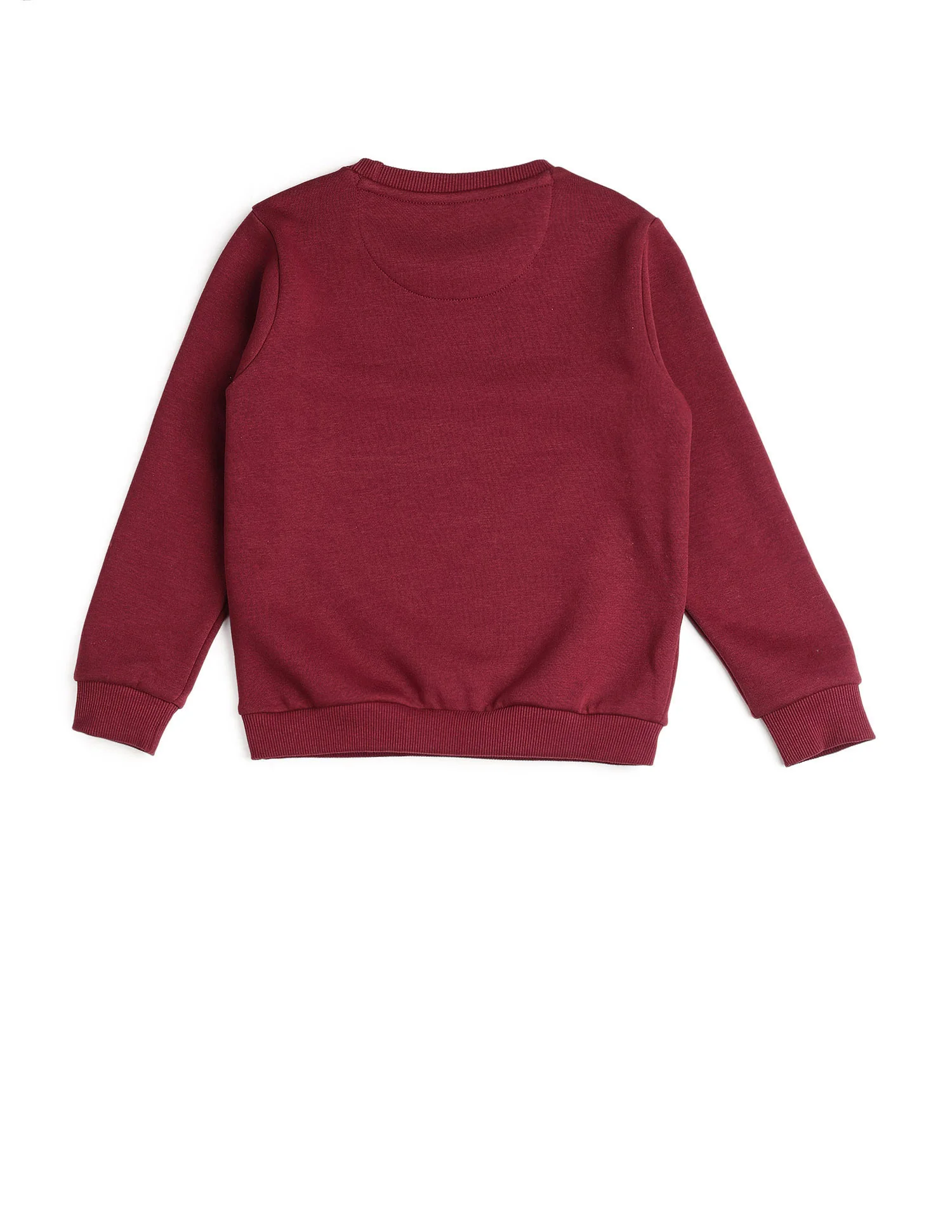Boys Graphic Brand Embroidered Regular Fit Sweatshirt - Image 8