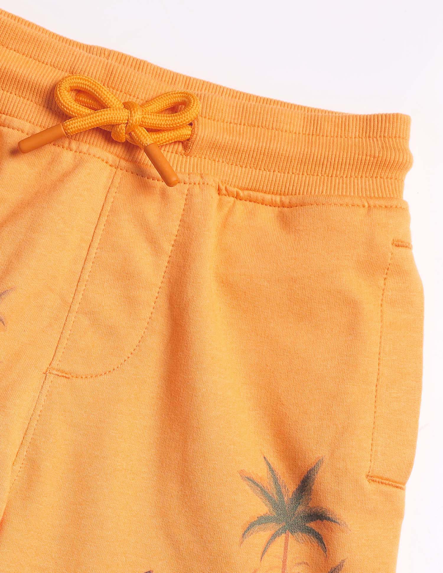 Boys Graphic Printed Shorts - Image 2