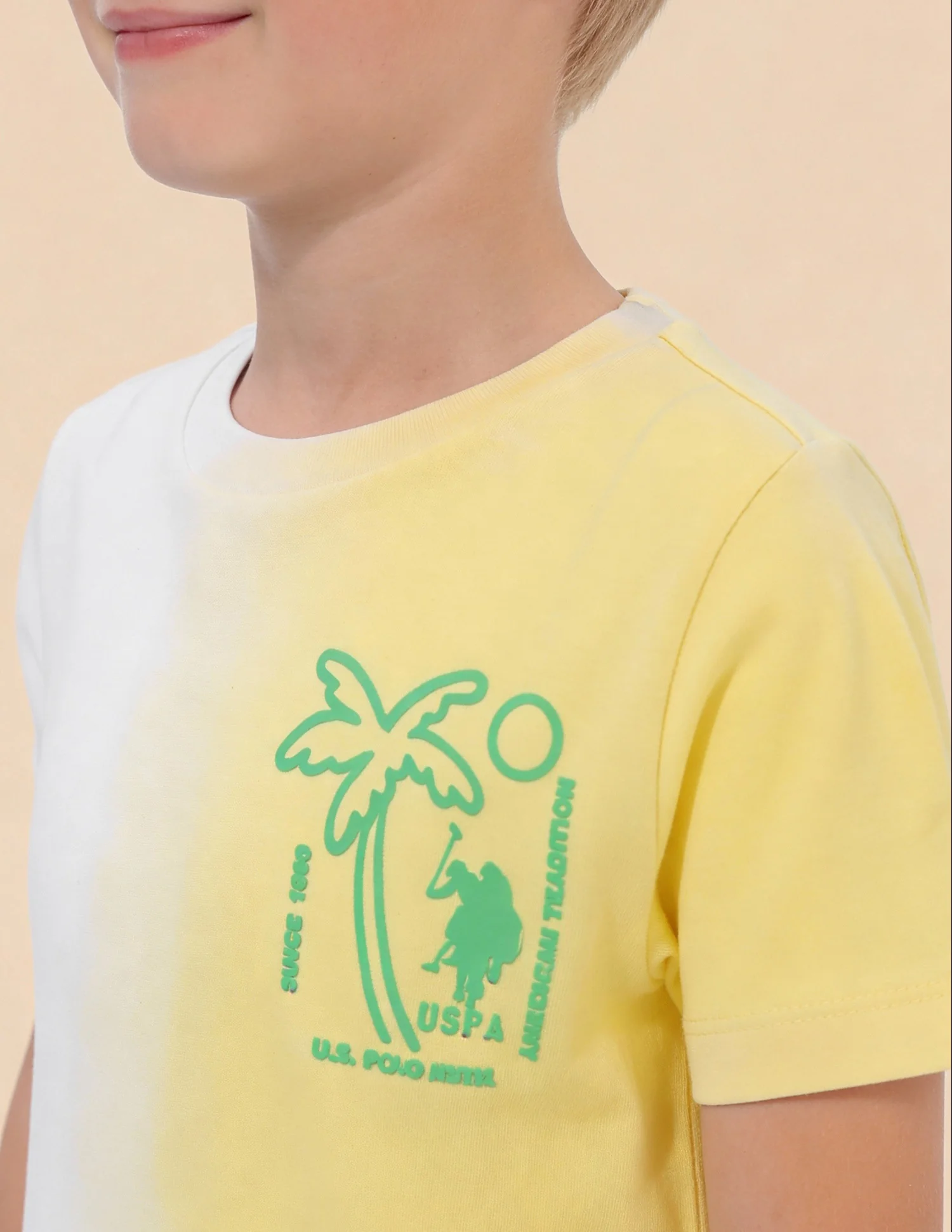 Boys Ombre Graphic Printed Regular Fit T-Shirt - Image 6