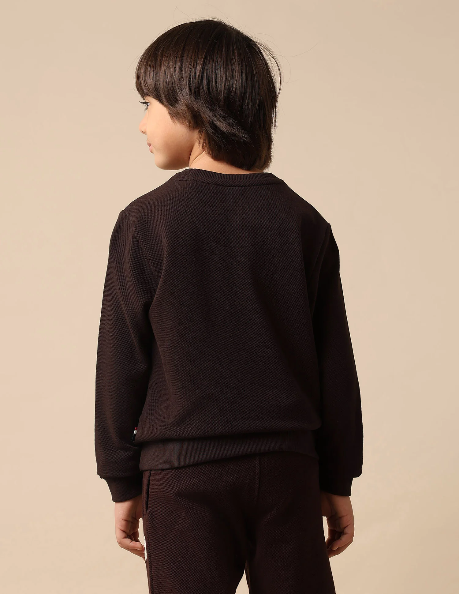 Boys Solid Regular Fit Sweatshirt - Image 5