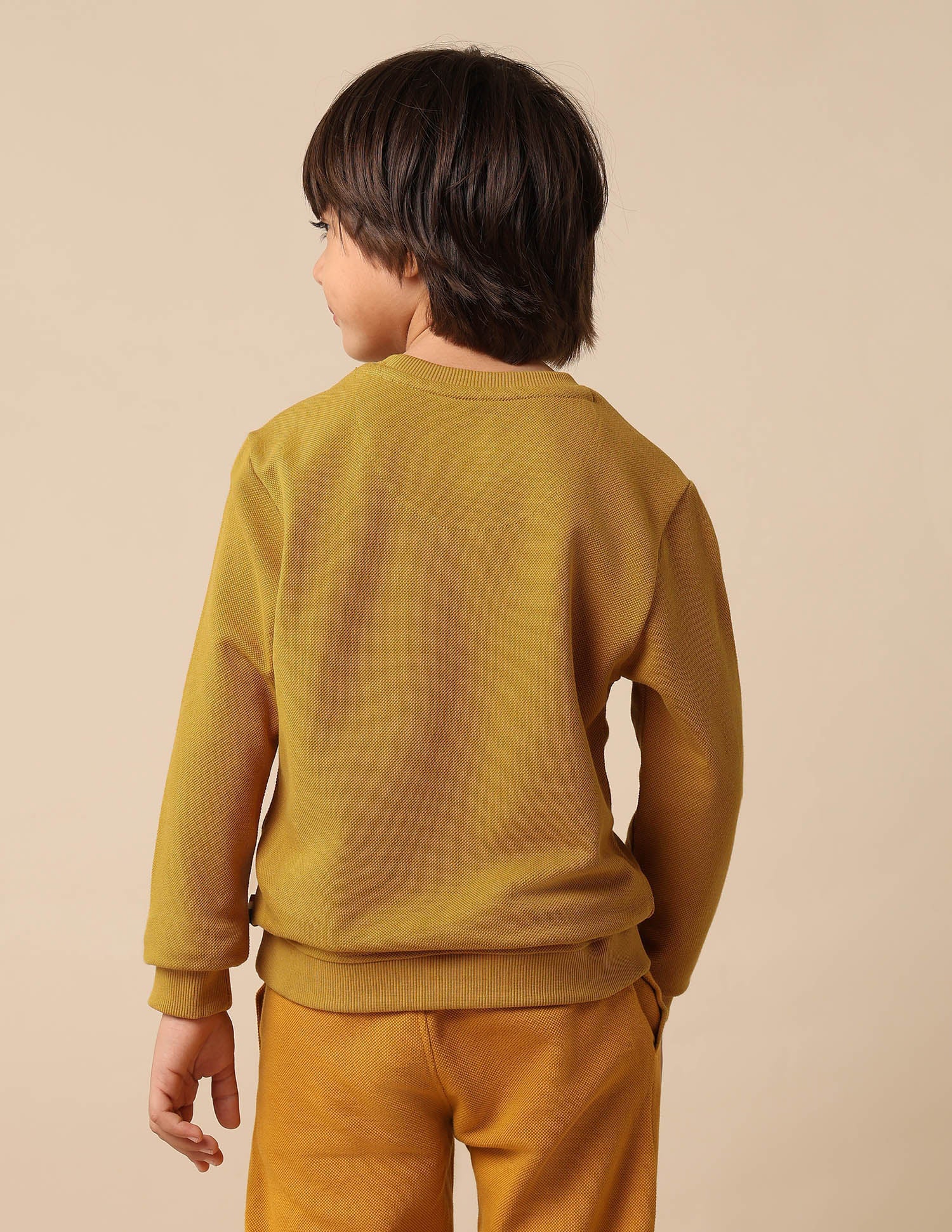 Boys Solid Regular Fit Sweatshirt - Image 5