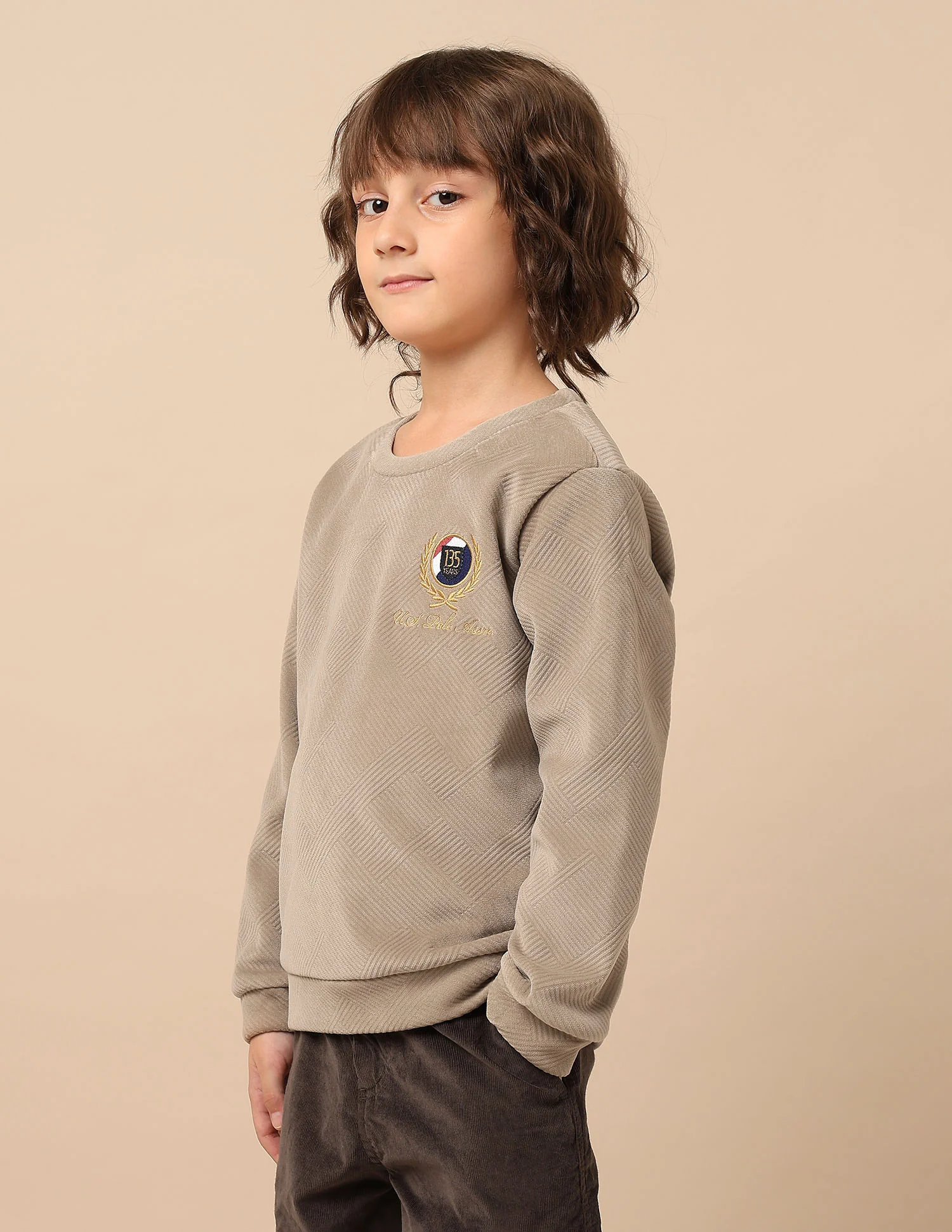 Boys Textured Patterned Knit Regular Fit Sweatshirt - Image 4