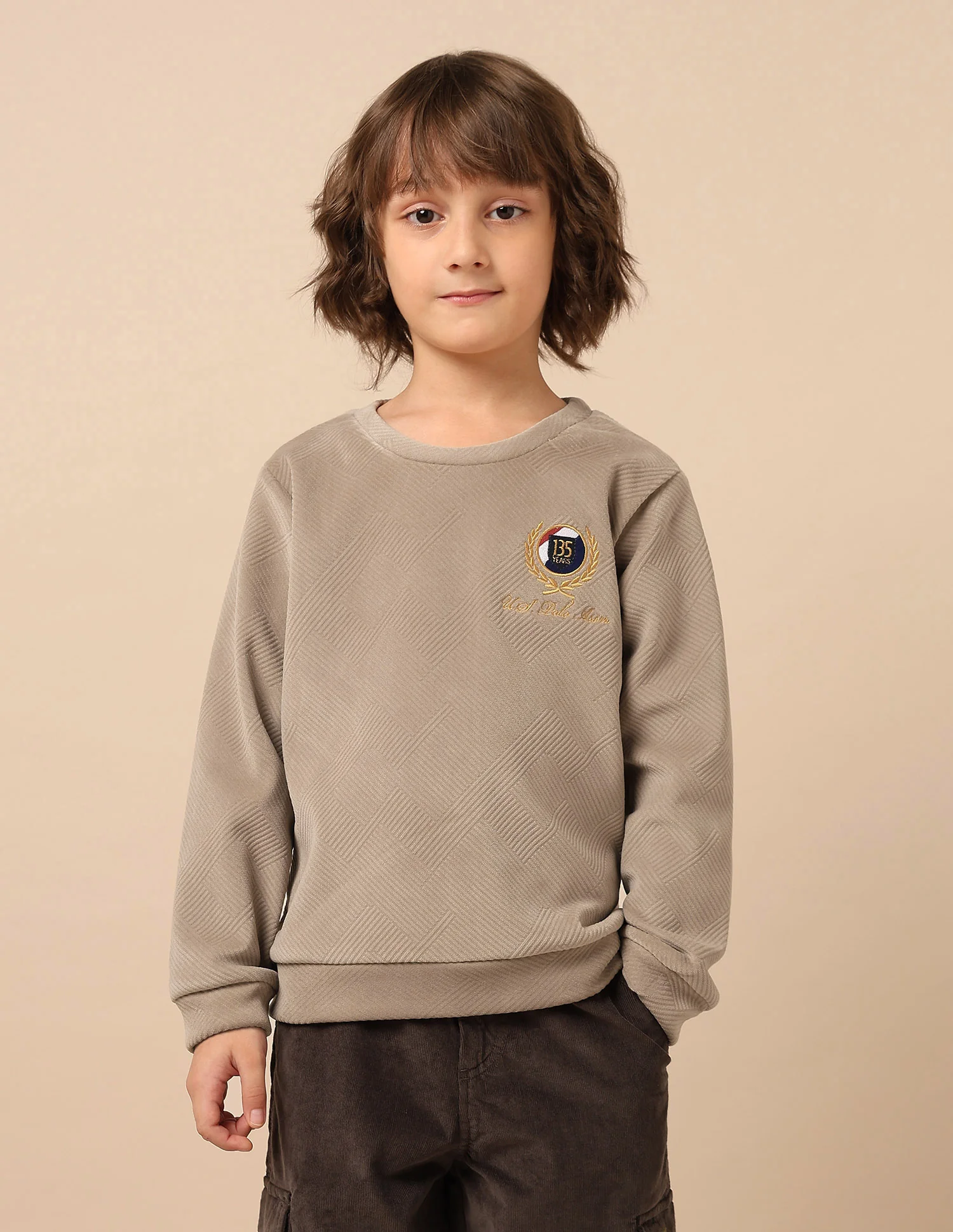 Boys Textured Patterned Knit Regular Fit Sweatshirt - Image 6