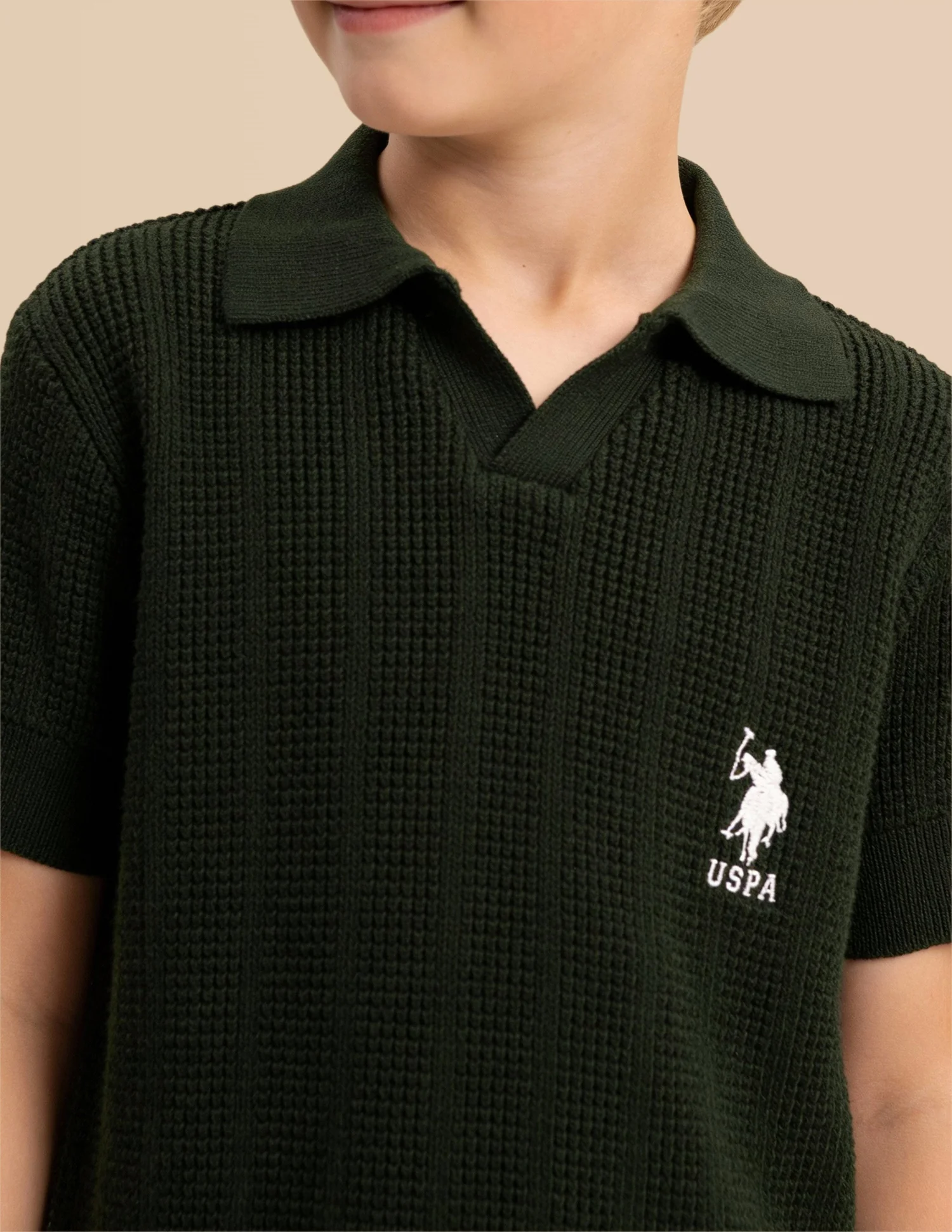 Boys Textured Regular Fit Polo Shirt - Image 6