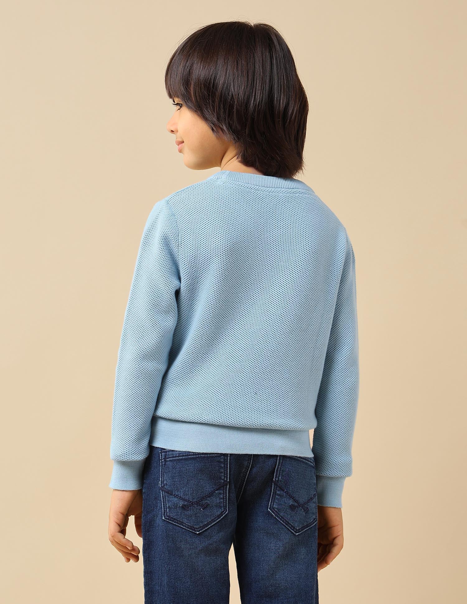 Boys Textured Regular Fit Sweater - Image 5