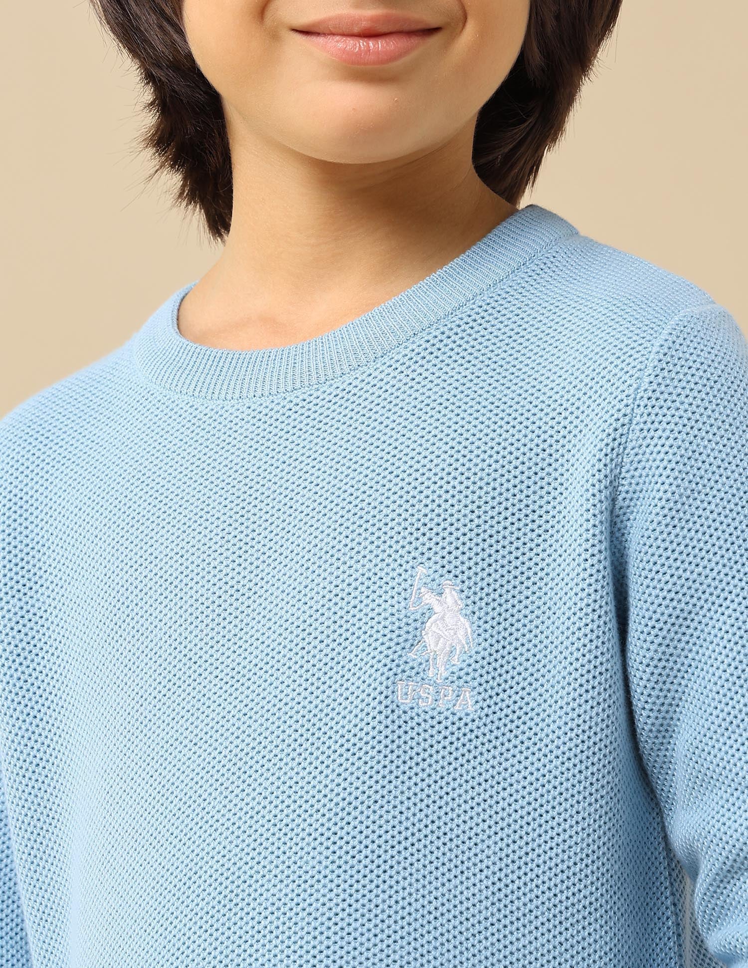 Boys Textured Regular Fit Sweater - Image 6