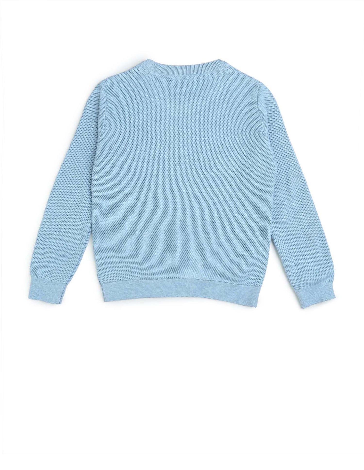 Boys Textured Regular Fit Sweater - Image 8