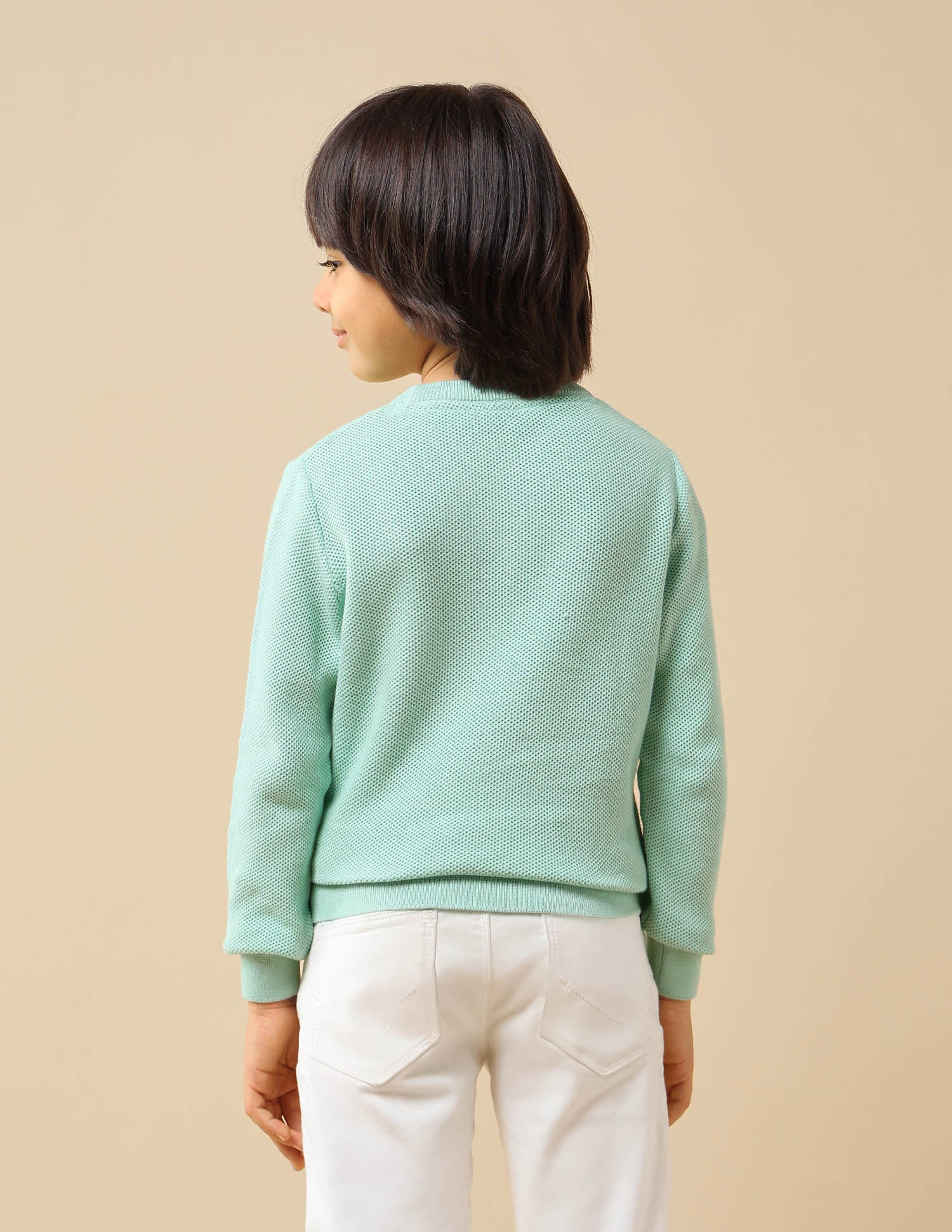 Boys Textured Regular Fit Sweater - Image 5