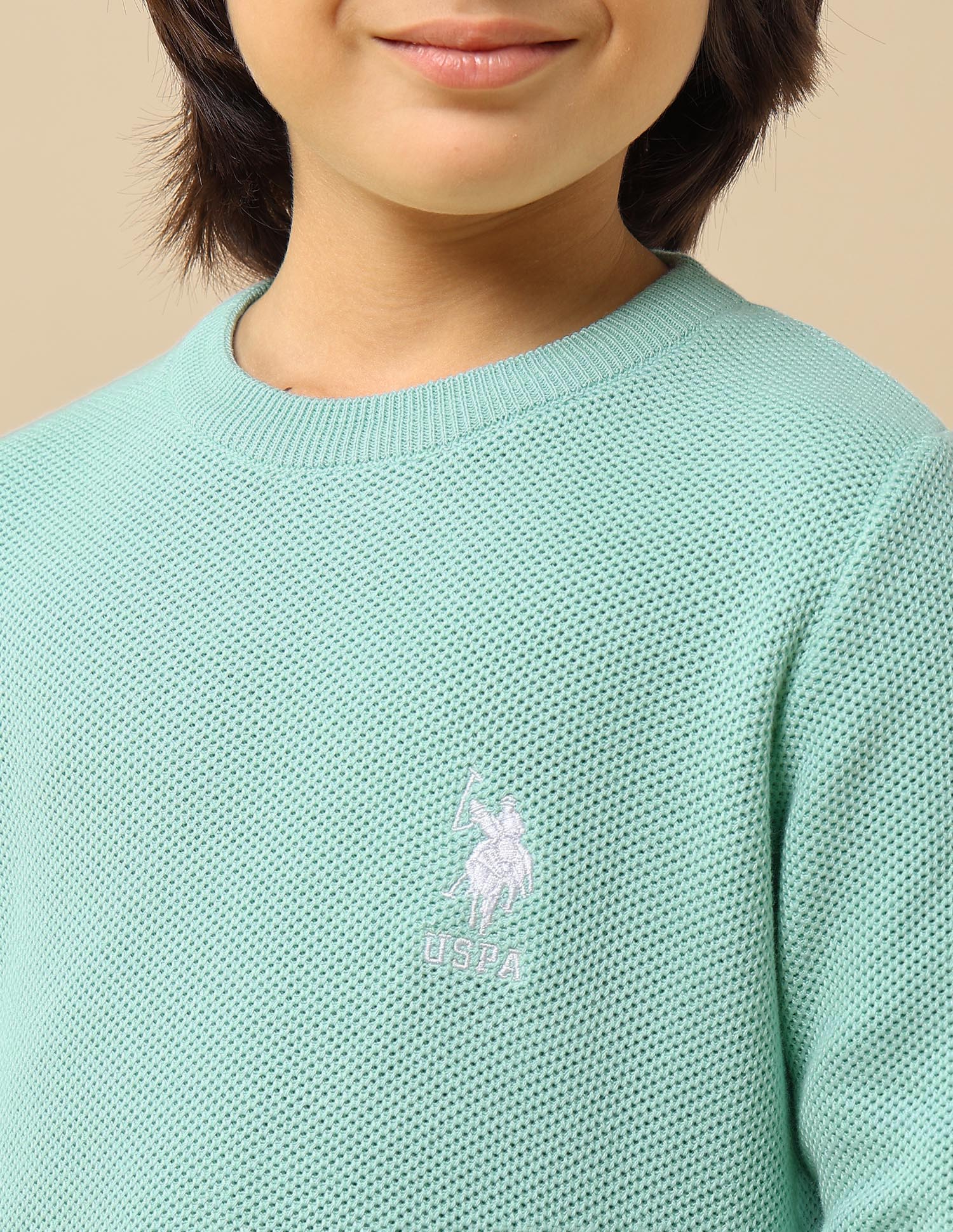 Boys Textured Regular Fit Sweater - Image 6