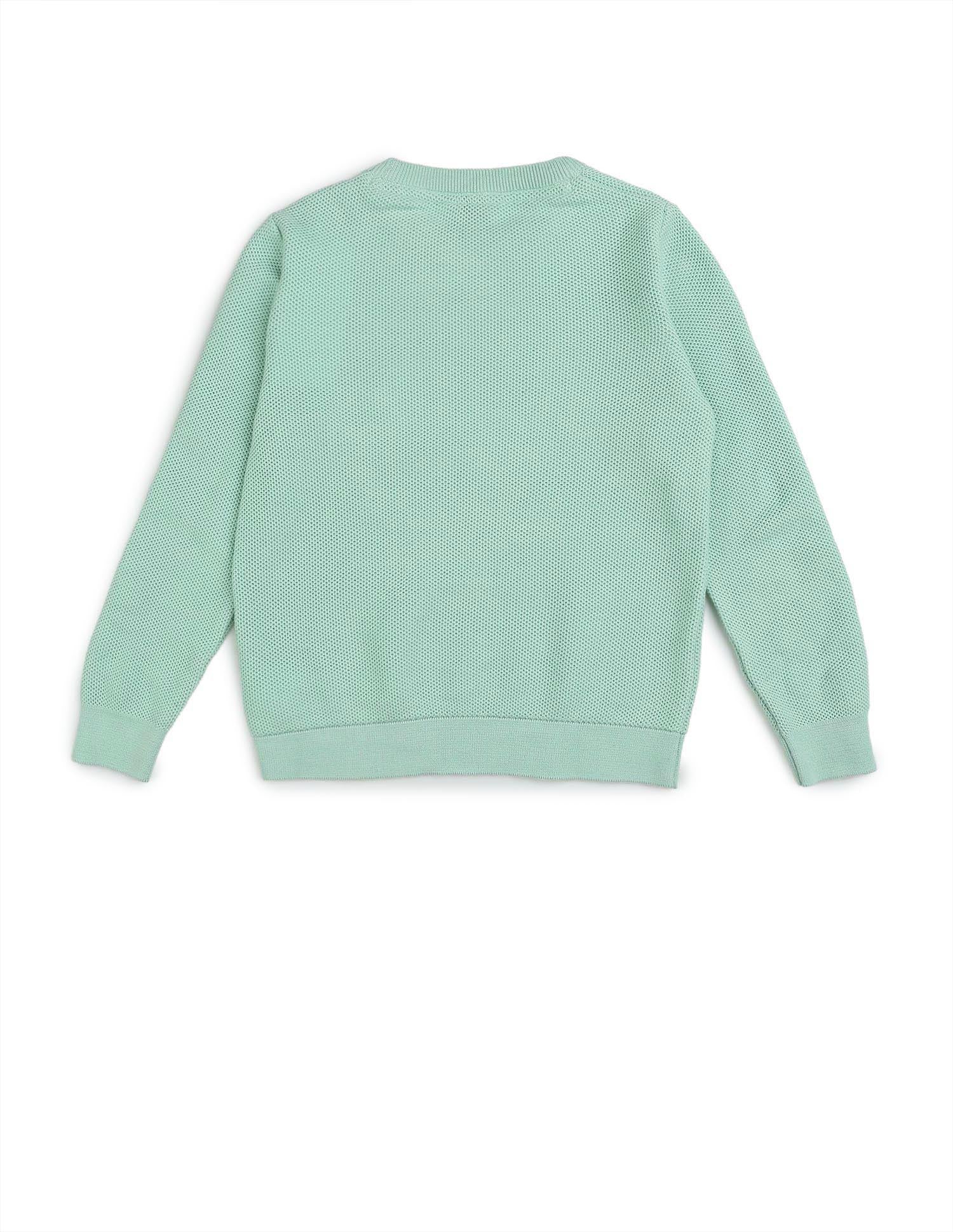 Boys Textured Regular Fit Sweater - Image 8