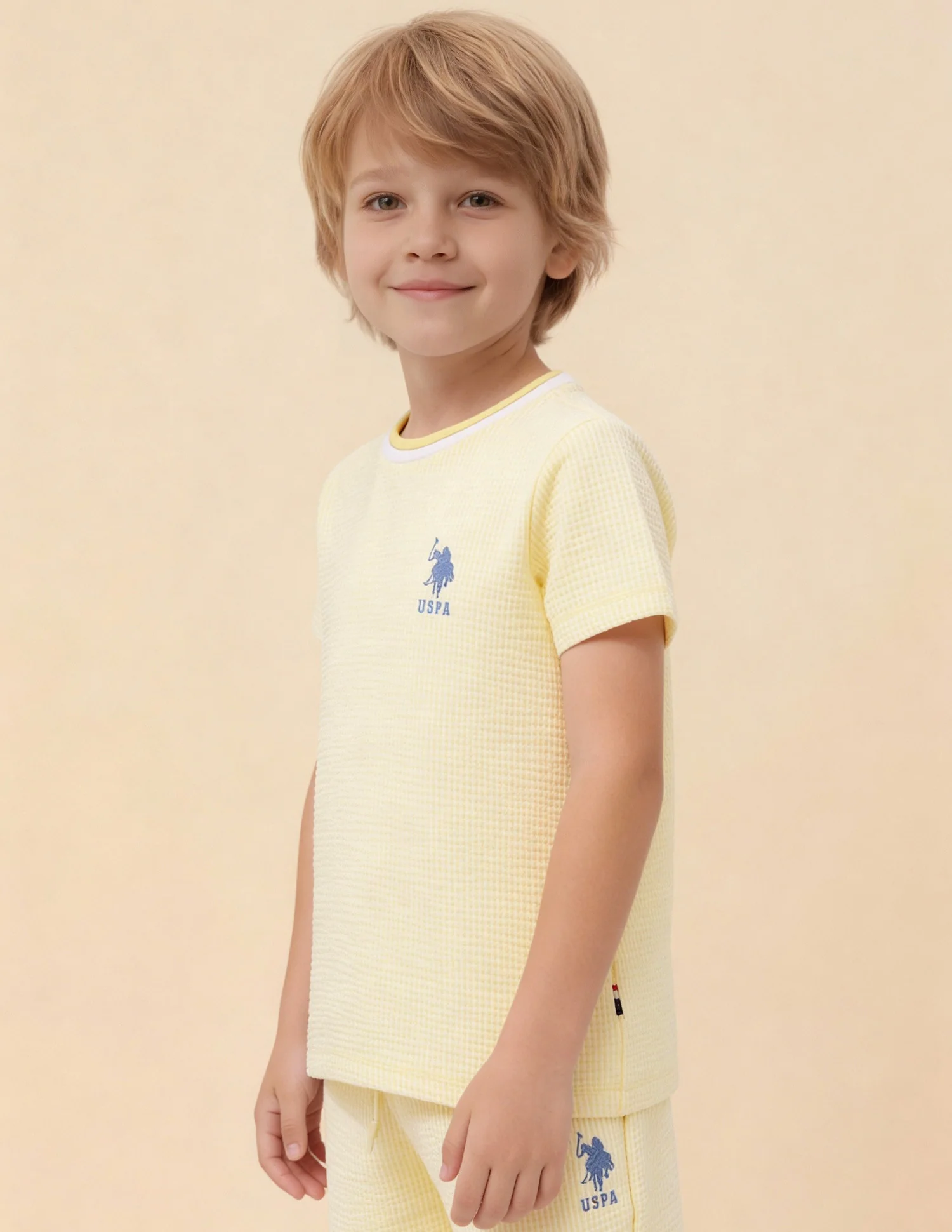 Boys Textured Regular Fit T-Shirt - Image 4