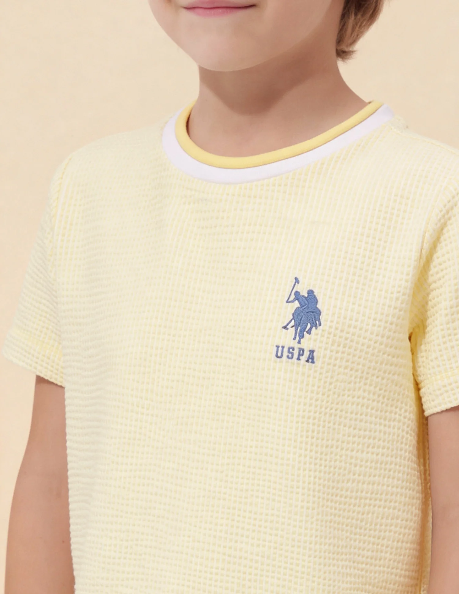 Boys Textured Regular Fit T-Shirt - Image 6