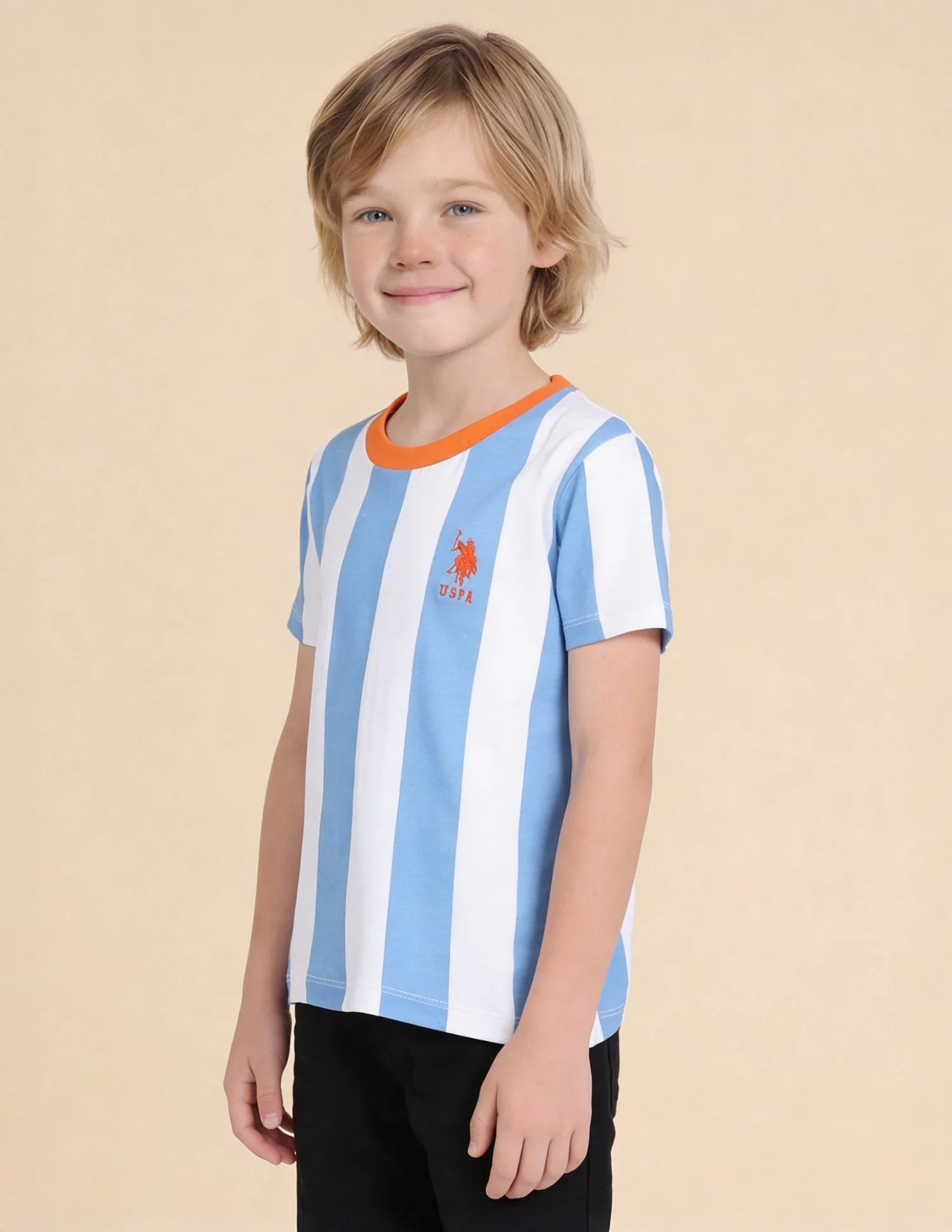 Boys Vertical Striped Regular Fit T-Shirt - Image 4