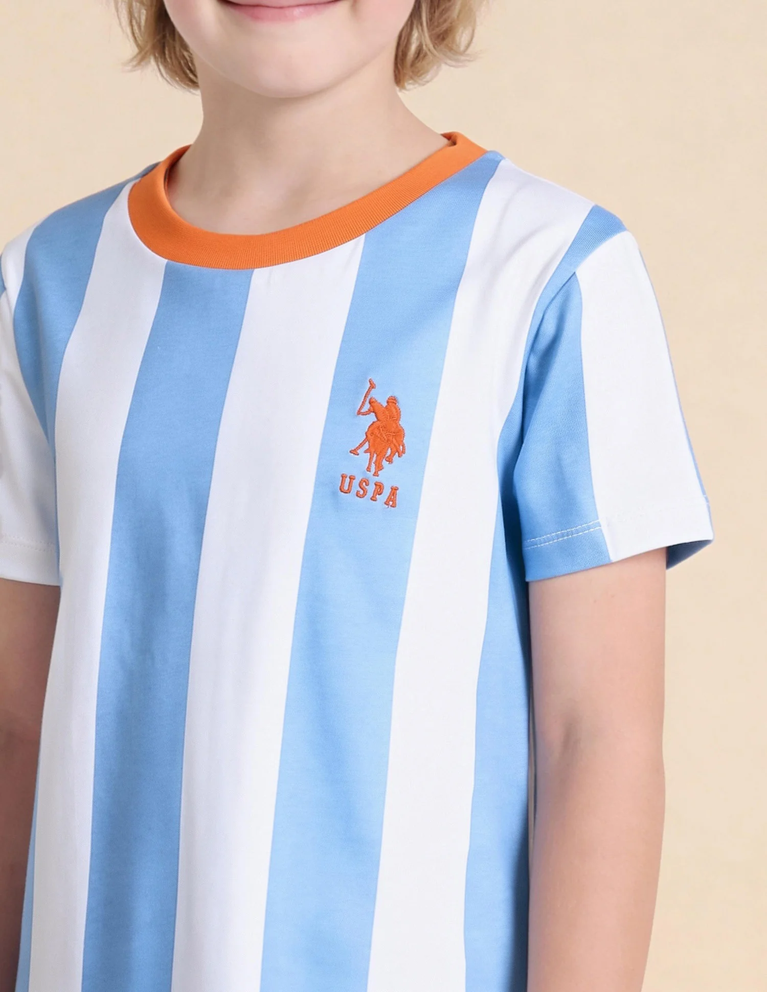 Boys Vertical Striped Regular Fit T-Shirt - Image 6