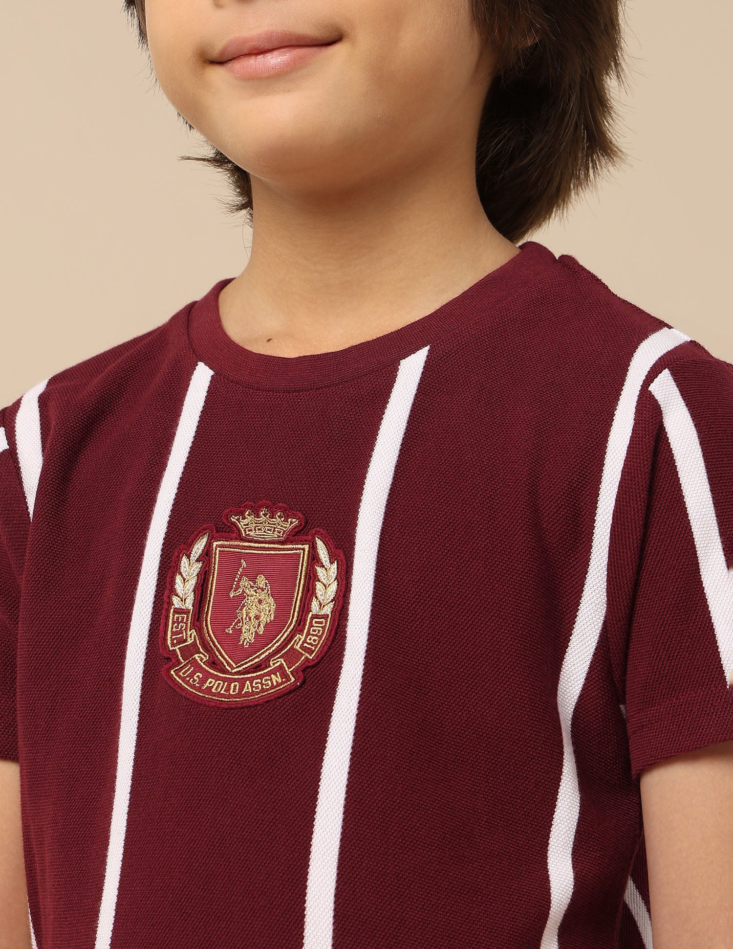 Boys Vertical Striped Regular Fit T-Shirt - Image 6