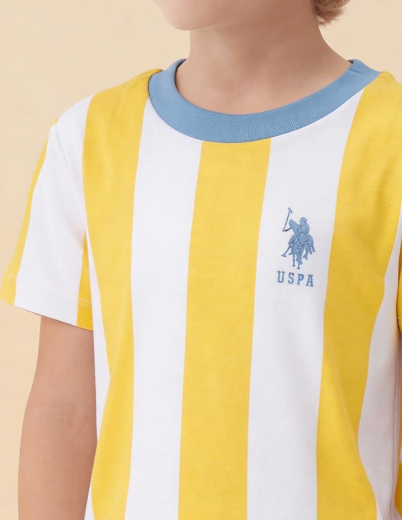 Boys Vertical Striped Regular Fit T-Shirt - Image 6