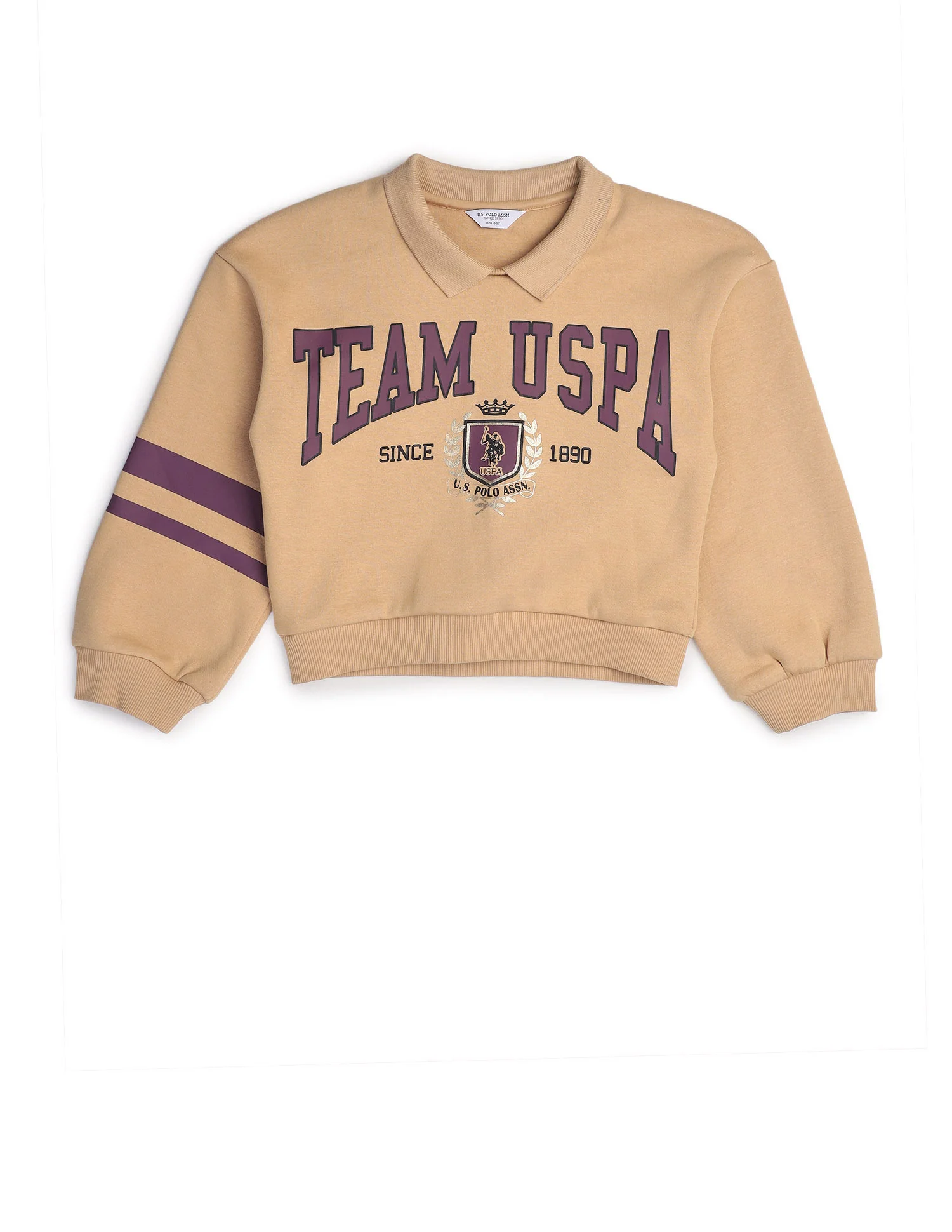 Brand Printed Regular Fit Sweatshirt - Image 8