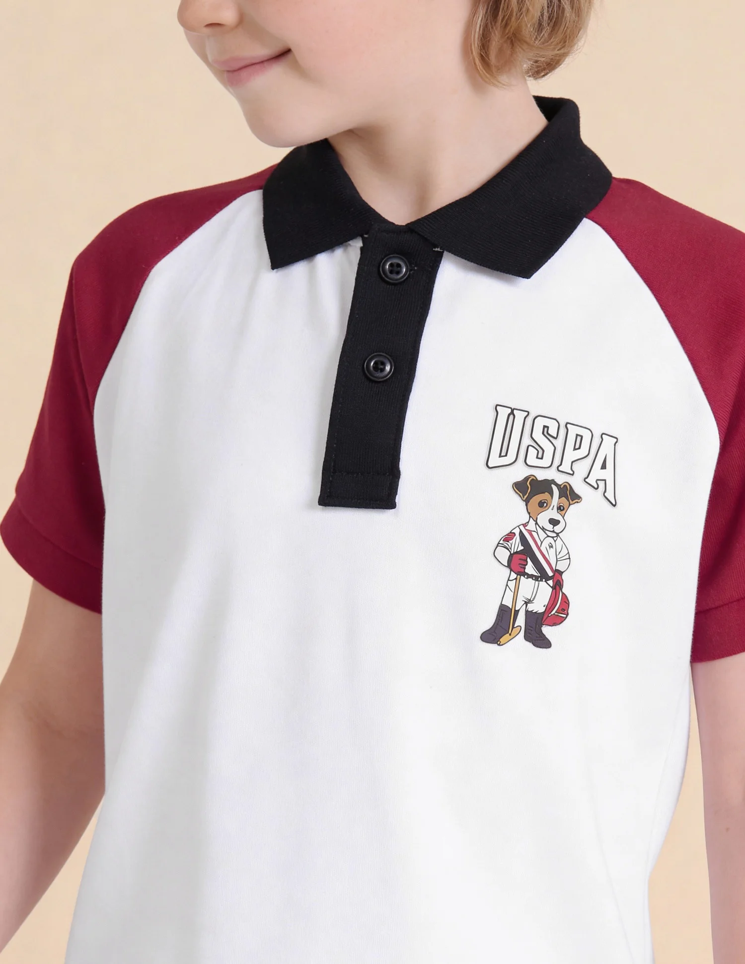 Colour Blocked Regular Fit Polo Shirt - Image 6
