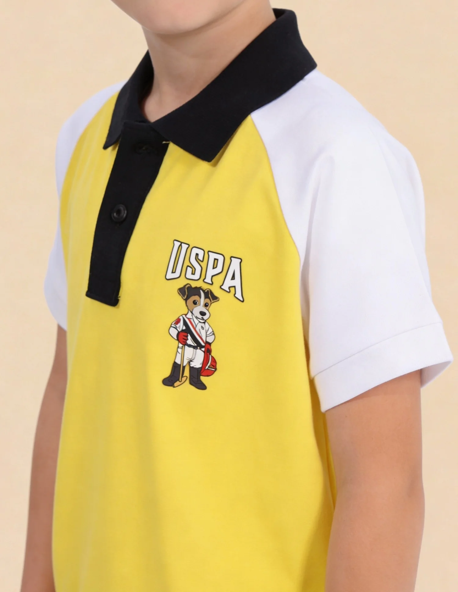 Colour Blocked Regular Fit Polo Shirt - Image 6