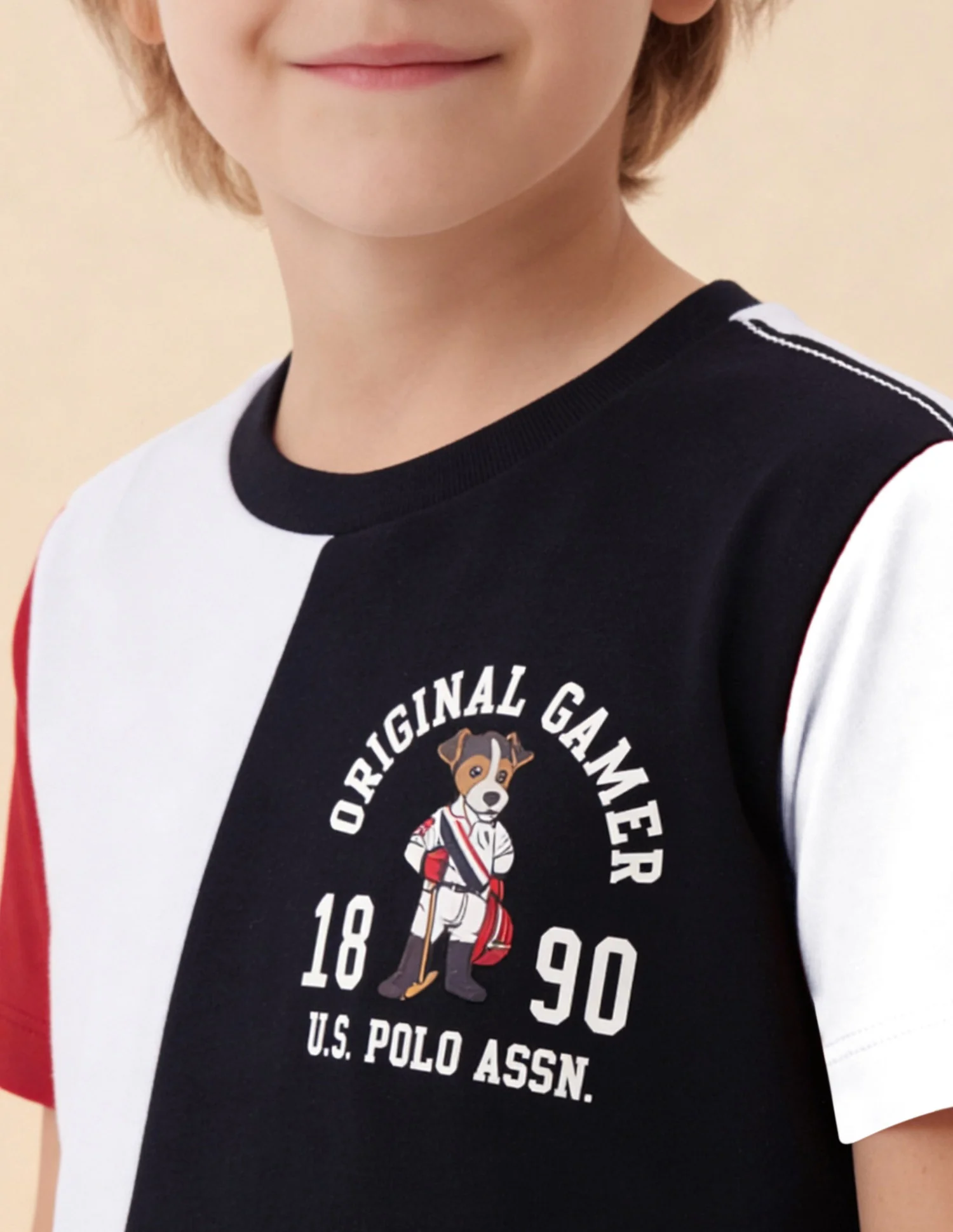Colour Blocked Regular Fit T-Shirt - Image 6