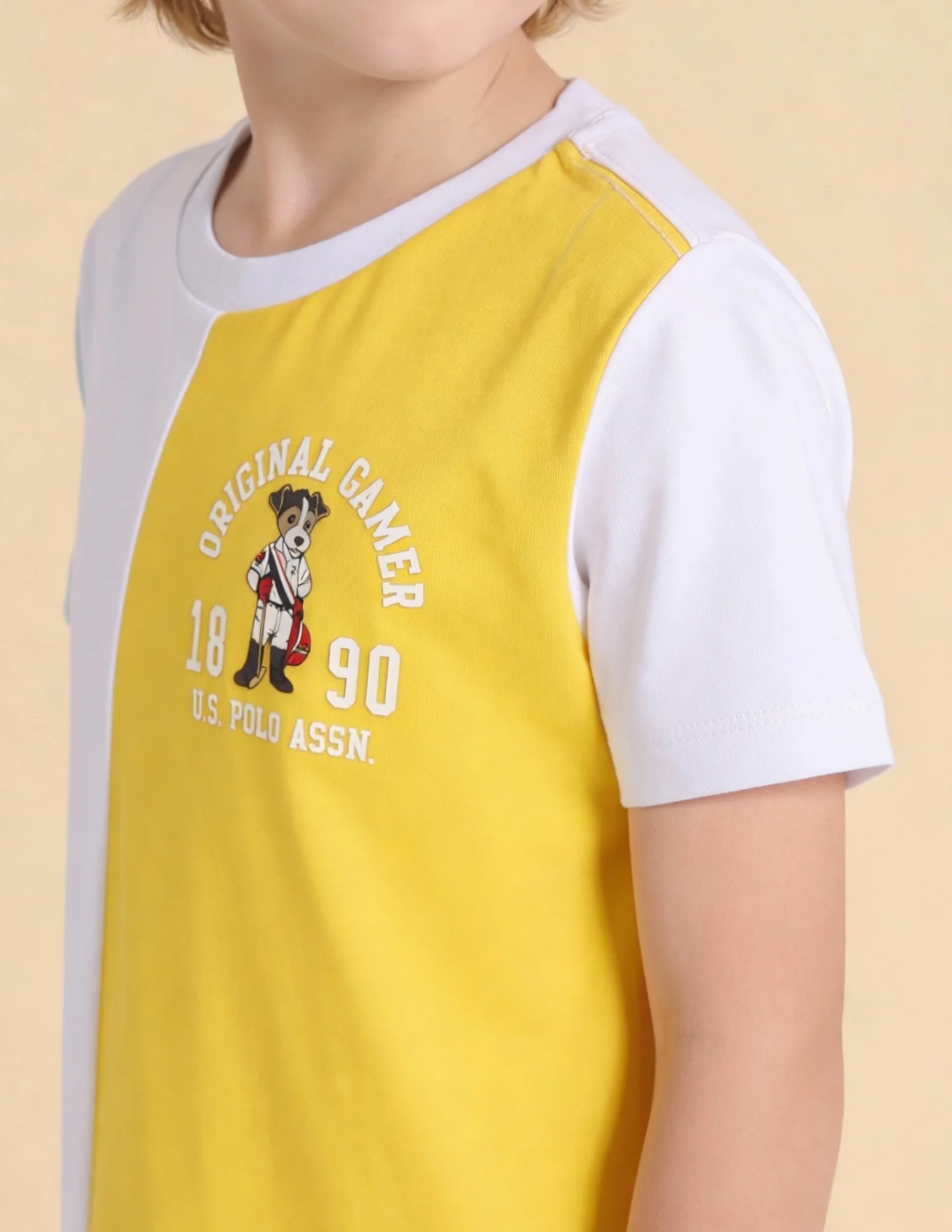 Colour Blocked Regular Fit T-Shirt - Image 6