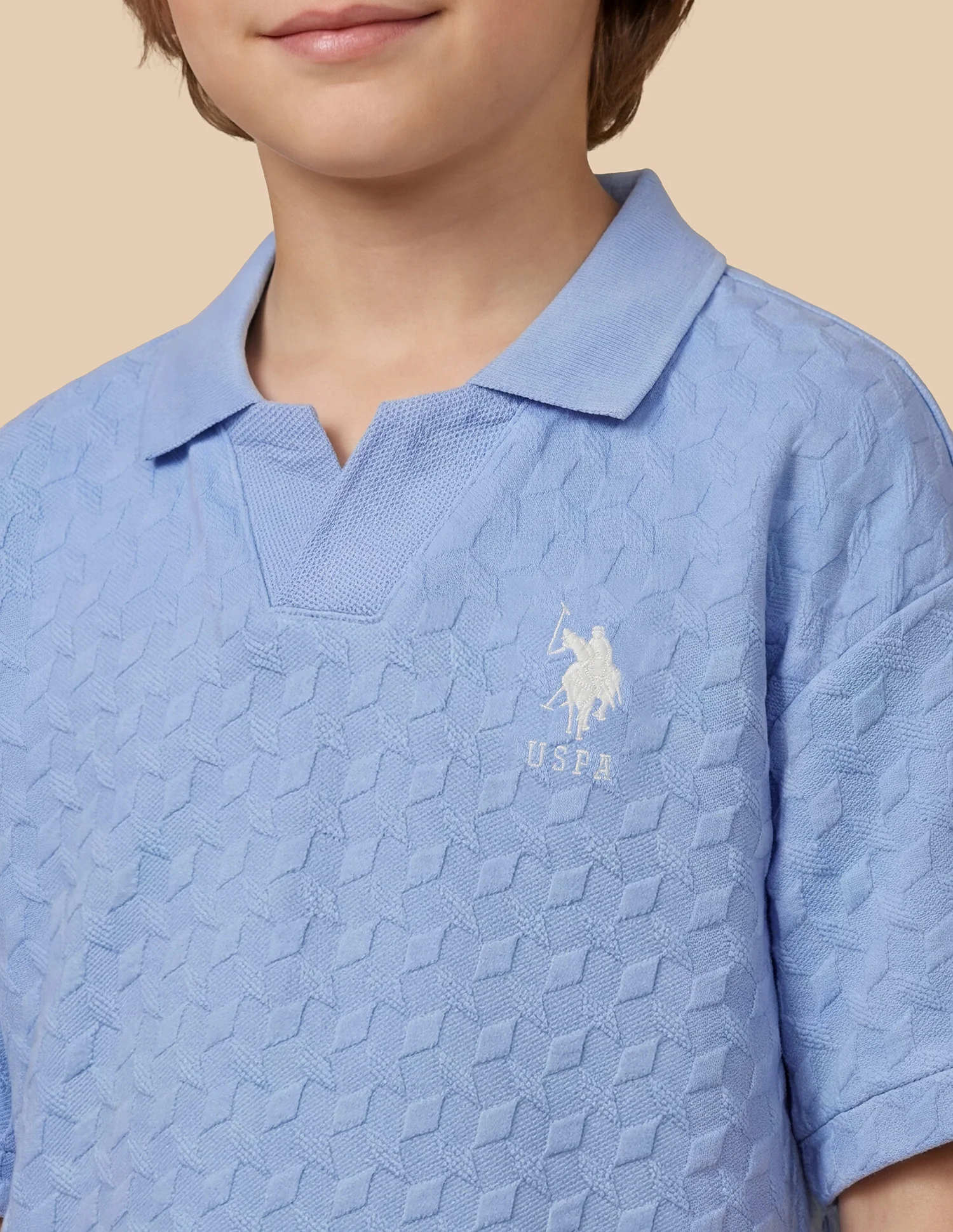Geometric Patterned Knit Regular Fit Polo Shirt - Image 6