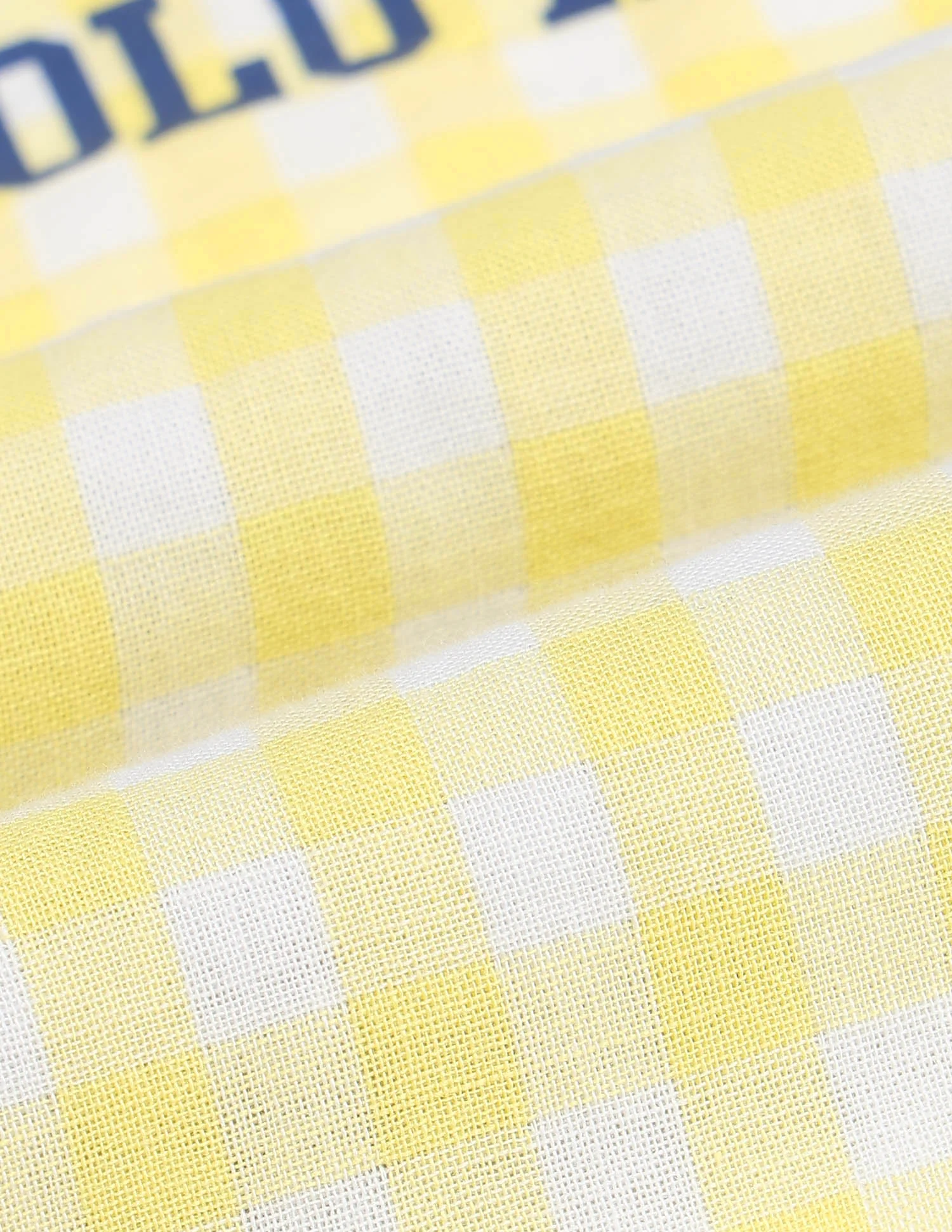Gingham Checked Regular Fit Shirt - Image 2