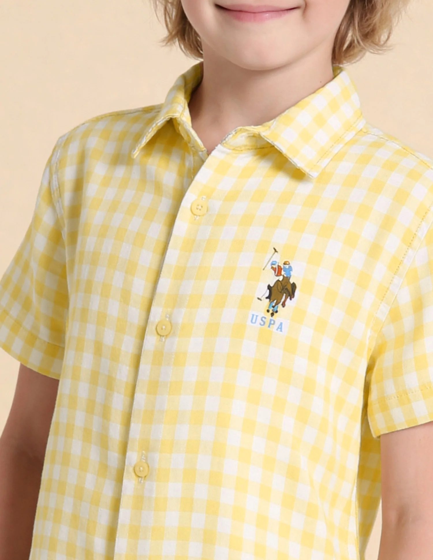 Gingham Checked Regular Fit Shirt - Image 6