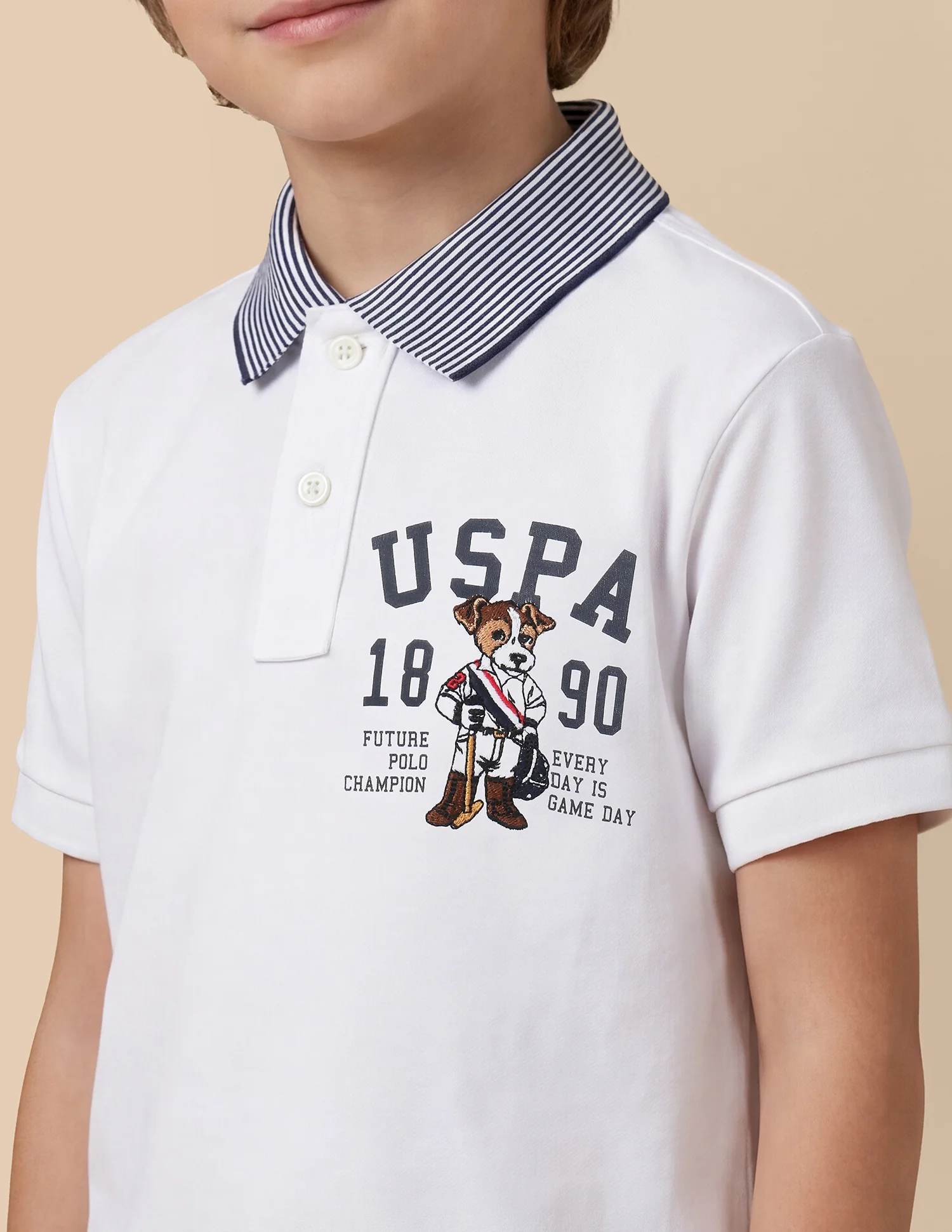 Graphic Printed Regular Fit Polo Shirt - Image 6