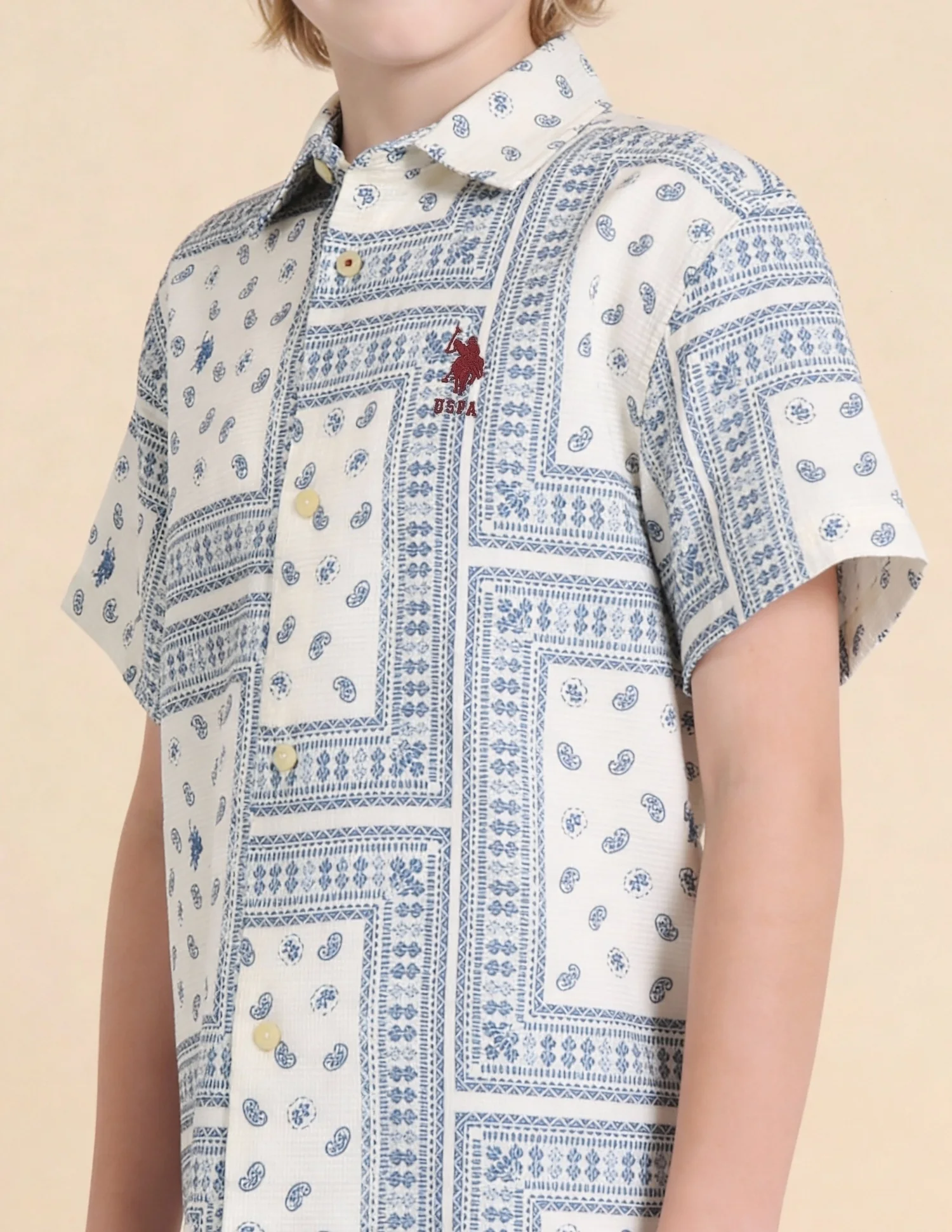 Paisley Printed Dobby Shirt - Image 6
